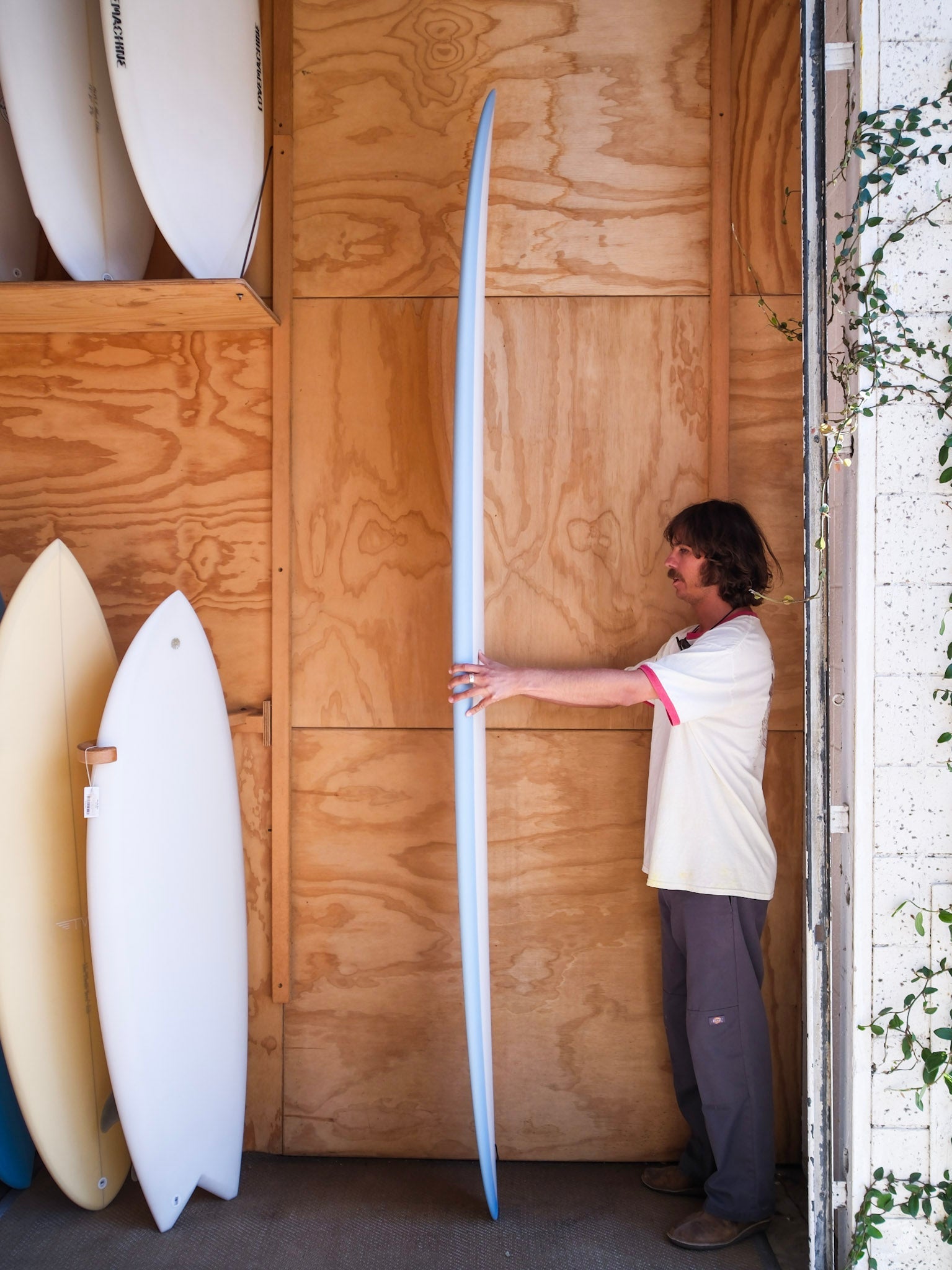 9'6 Radio Power Glider - Mollusk Surf Shop