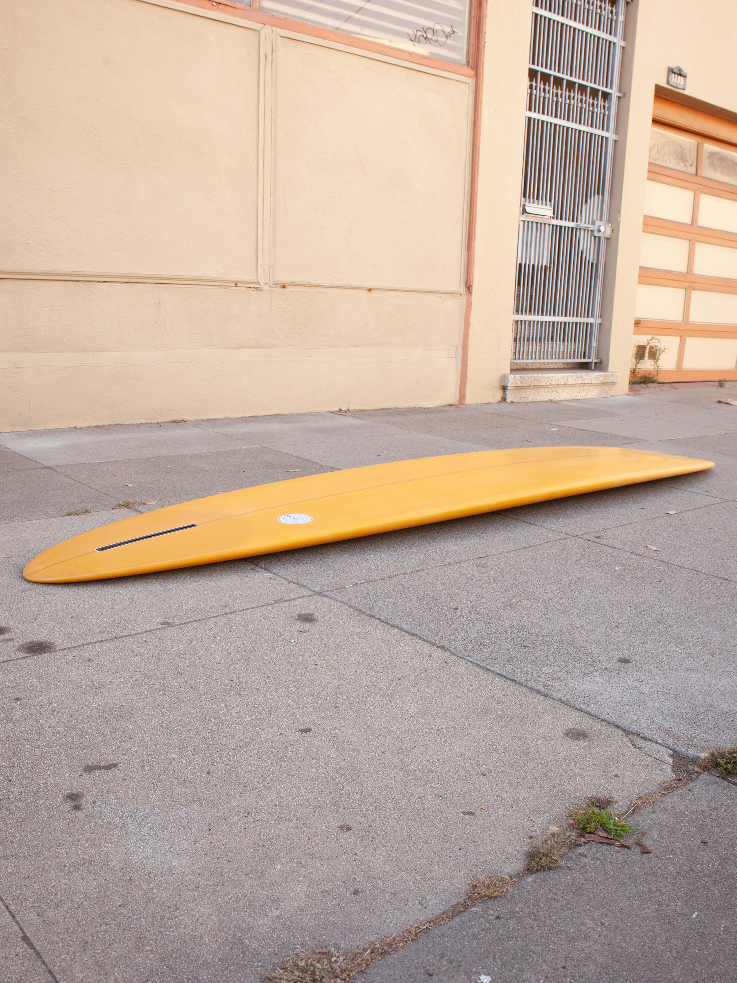 9'6 Radio Power Glider - Mollusk Surf Shop