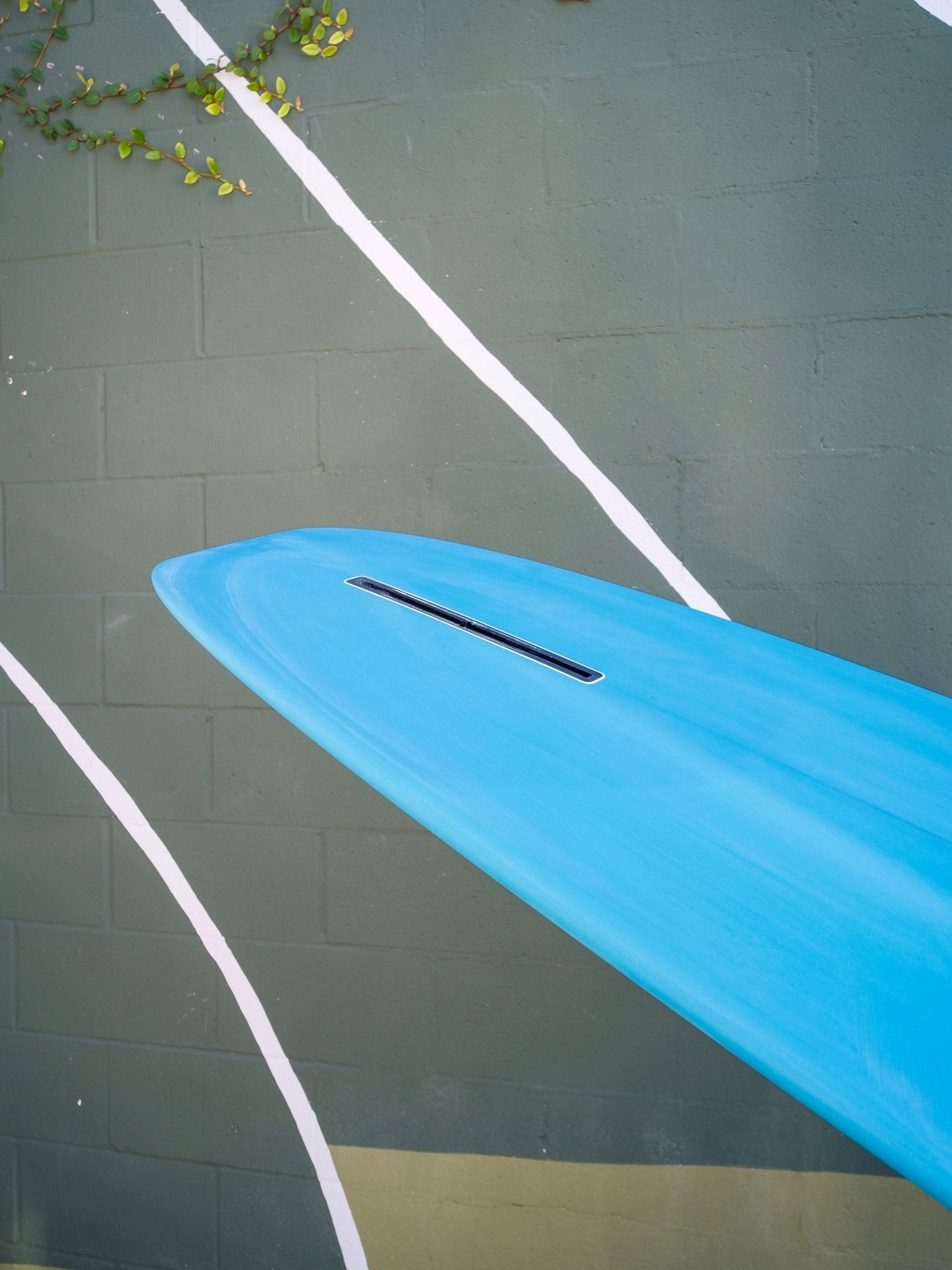9'6 Radio Starship - Mollusk Surf Shop - description
