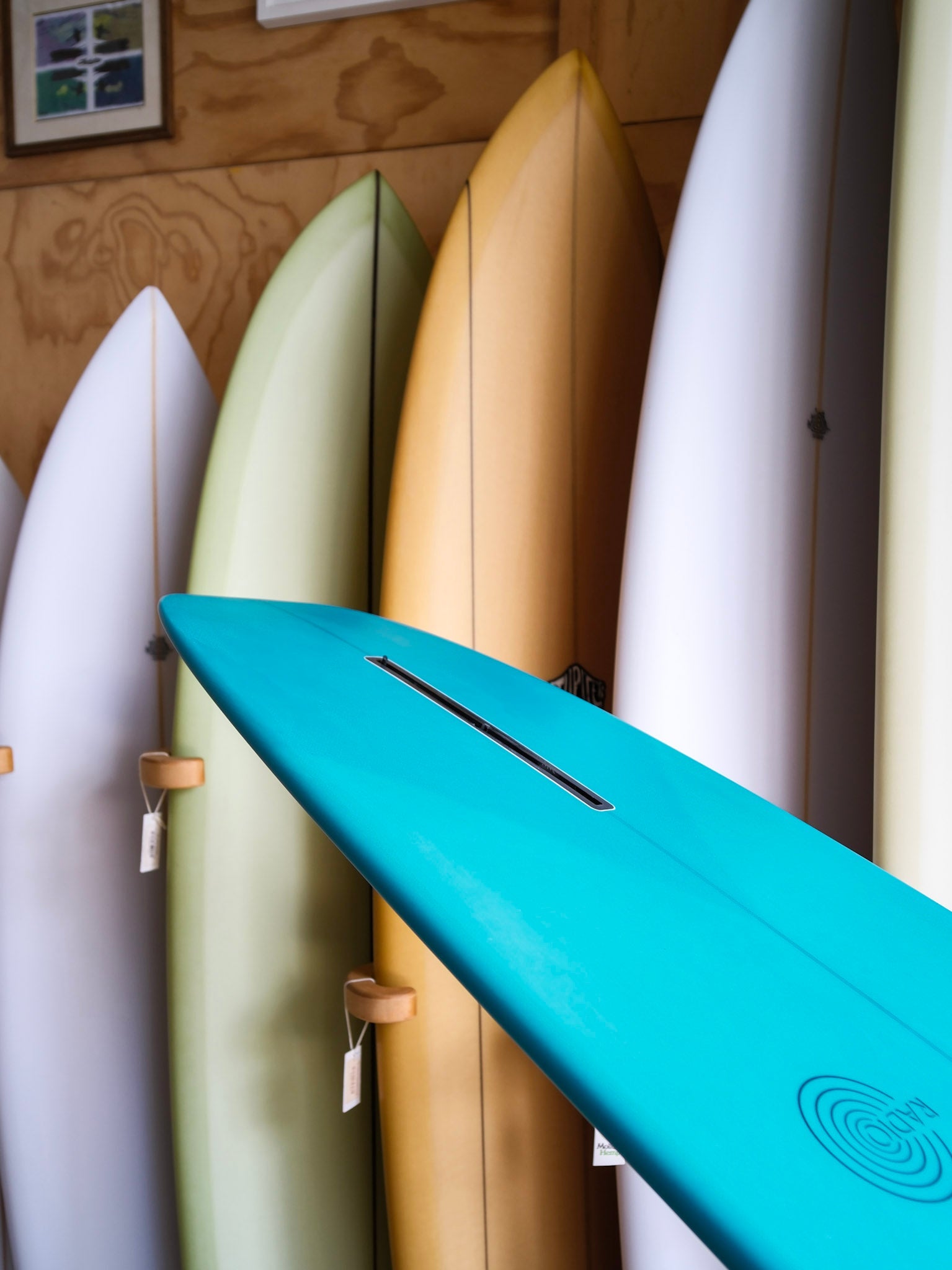9'6 Radio Starship - Mollusk Surf Shop - description