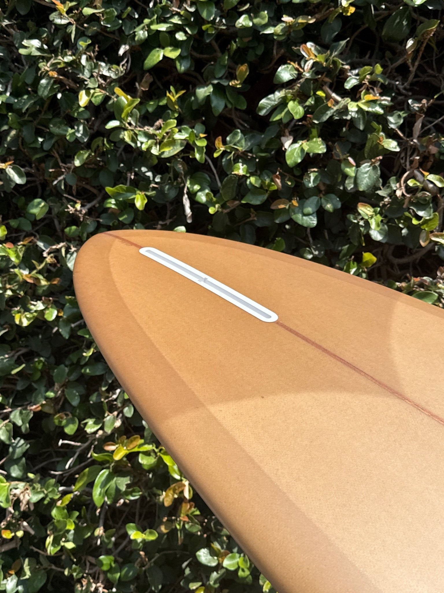 9'6 Thomas Bill Pin - Mollusk Surf Shop - description