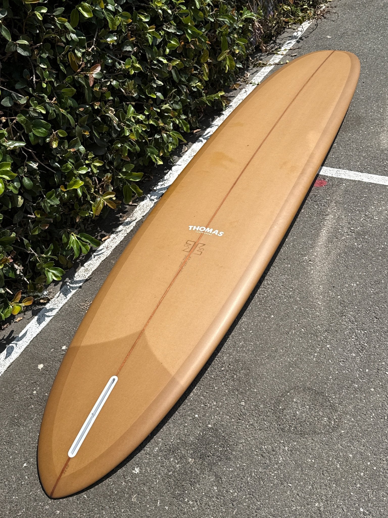 9'6 Thomas Bill Pin - Mollusk Surf Shop
