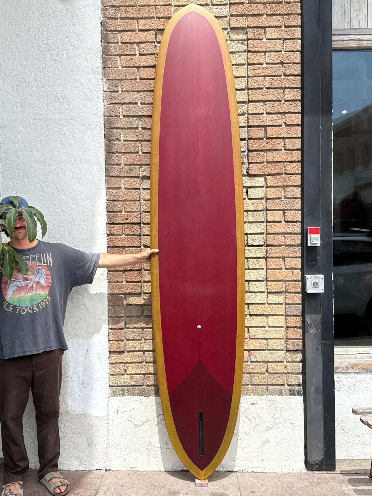 9'6 Woodin Switchblade - Mollusk Surf Shop