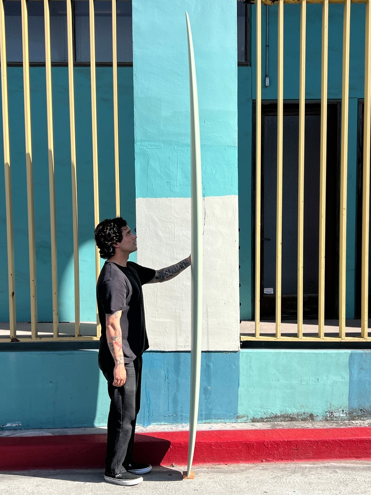 9'7 Tyler Warren Transition - Mollusk Surf Shop