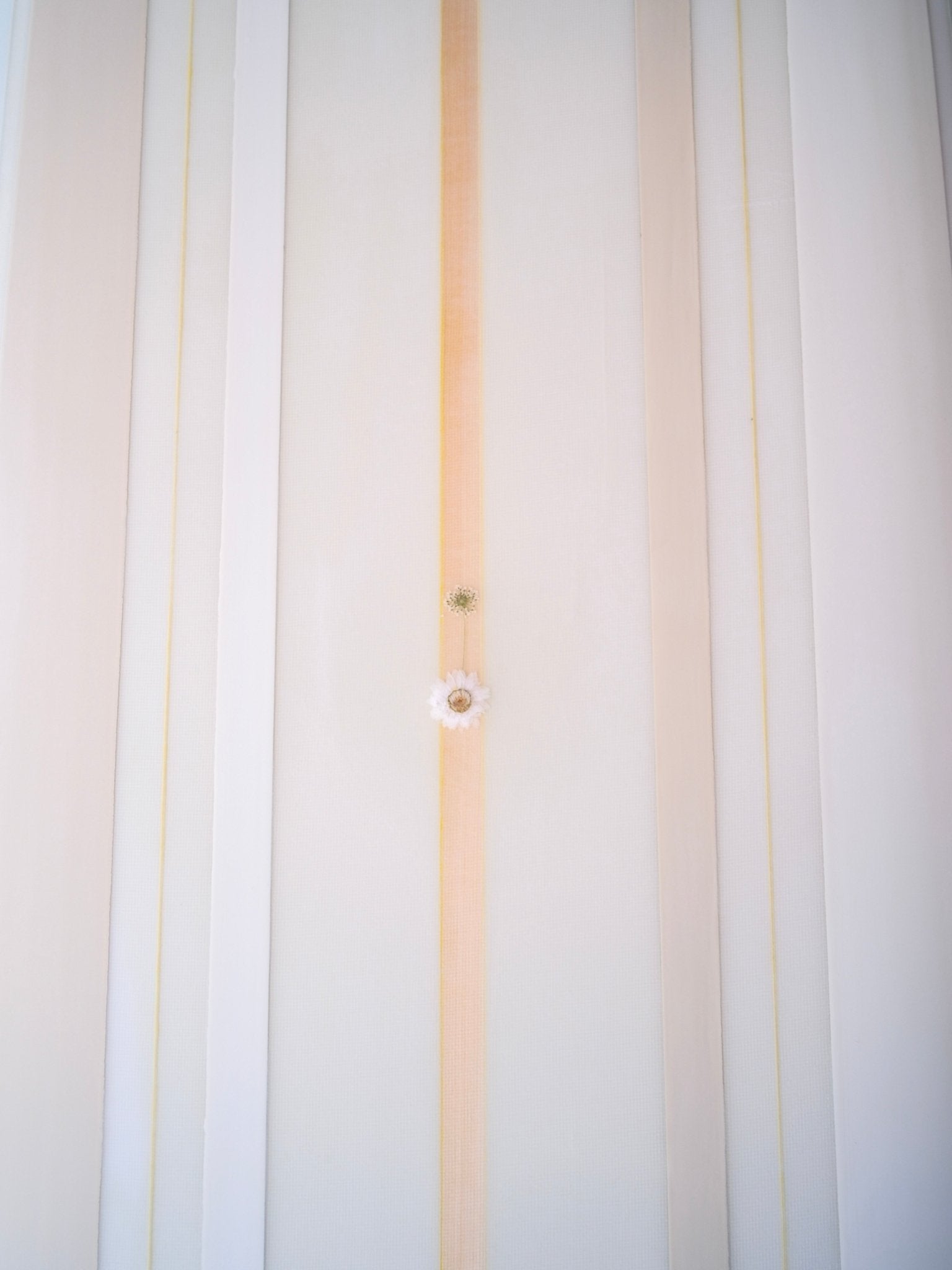 9'9 Jeff Svoboda Ol' Faithful - Mollusk Surf Shop - description