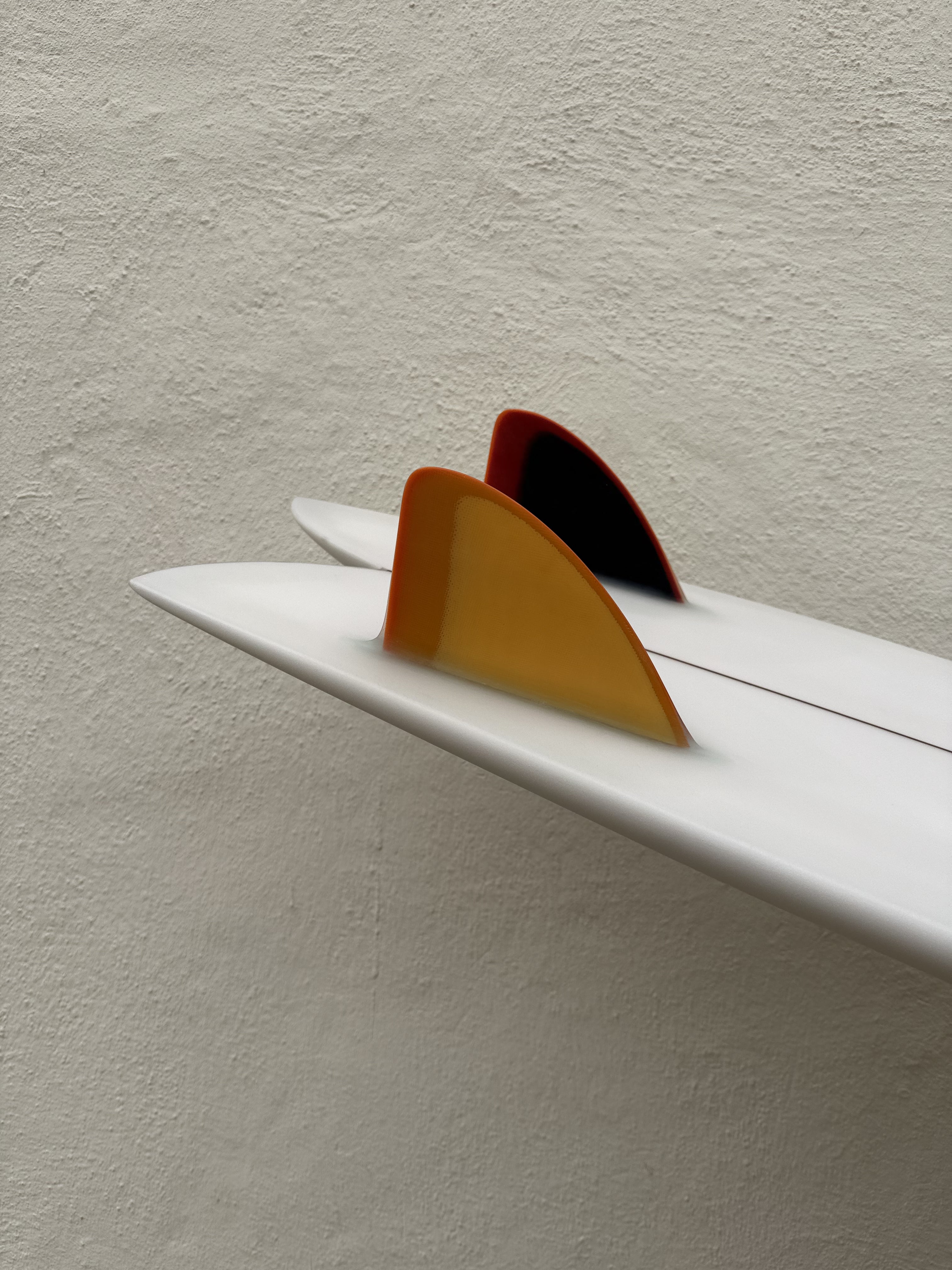 Lis - MolluskSurfShop