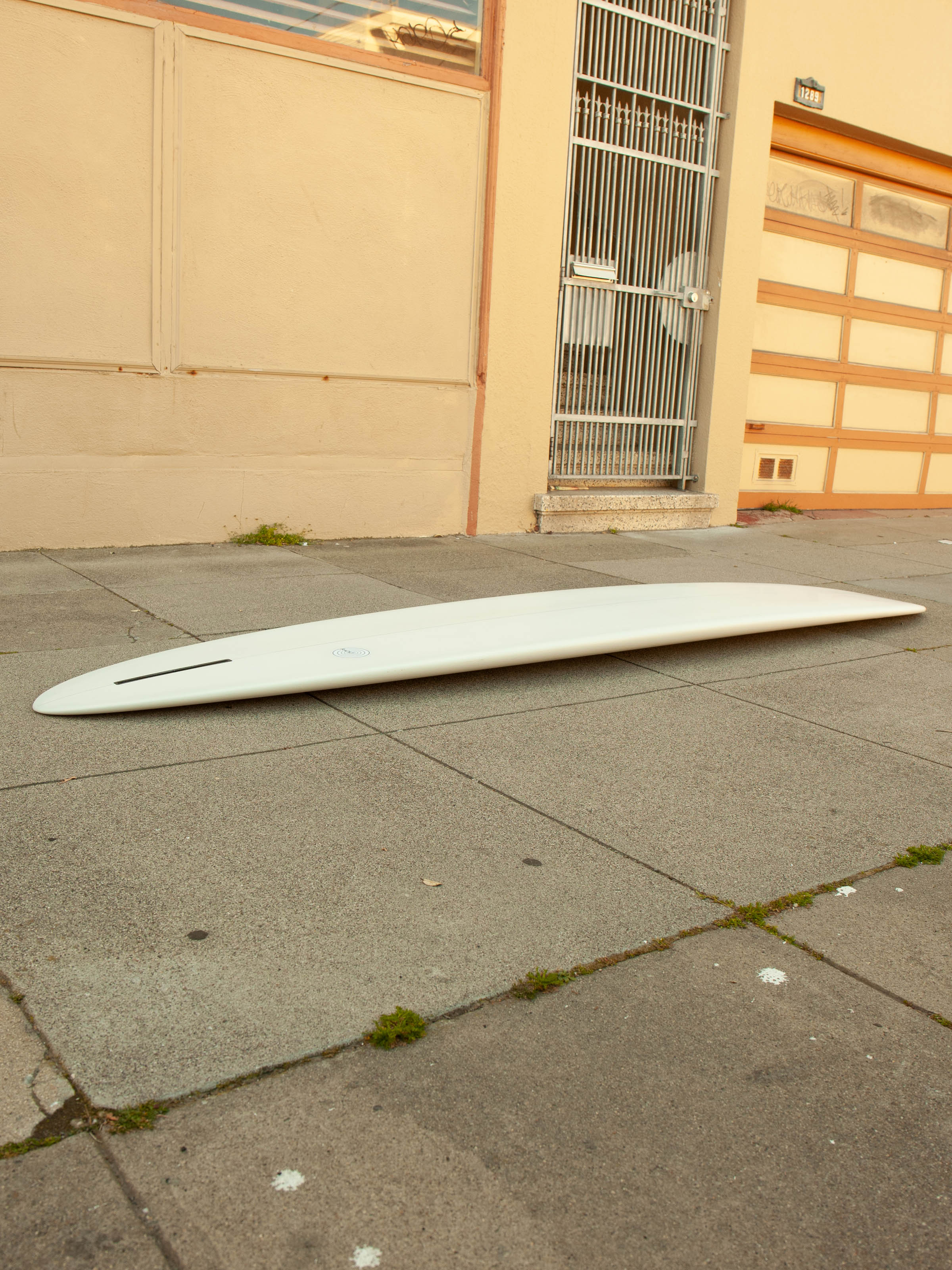 10'0 Radio Power Glider - Mollusk Surf Shop