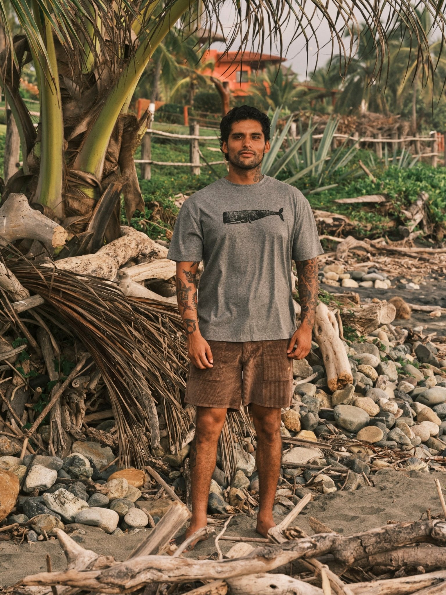 Big Whale Tee - S - Mollusk Surf Shop