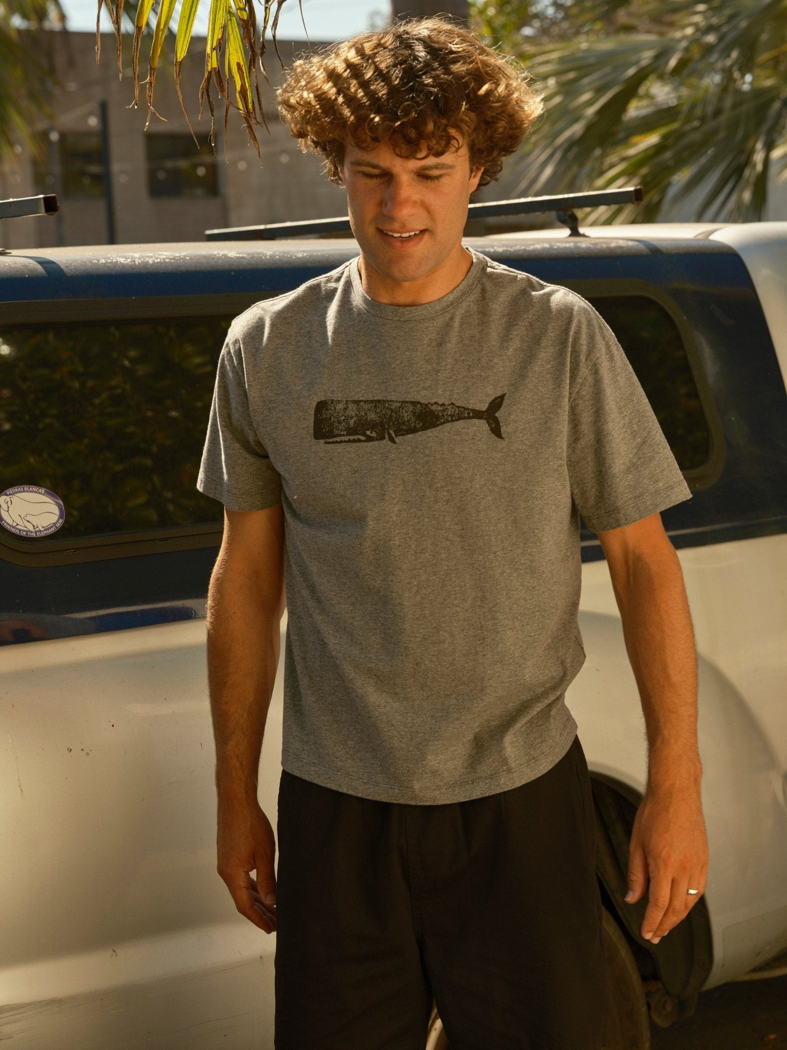 Big Whale Tee - S - Mollusk Surf Shop