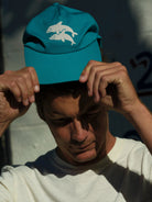 Dolphins Hat - OS - Mollusk Surf Shop