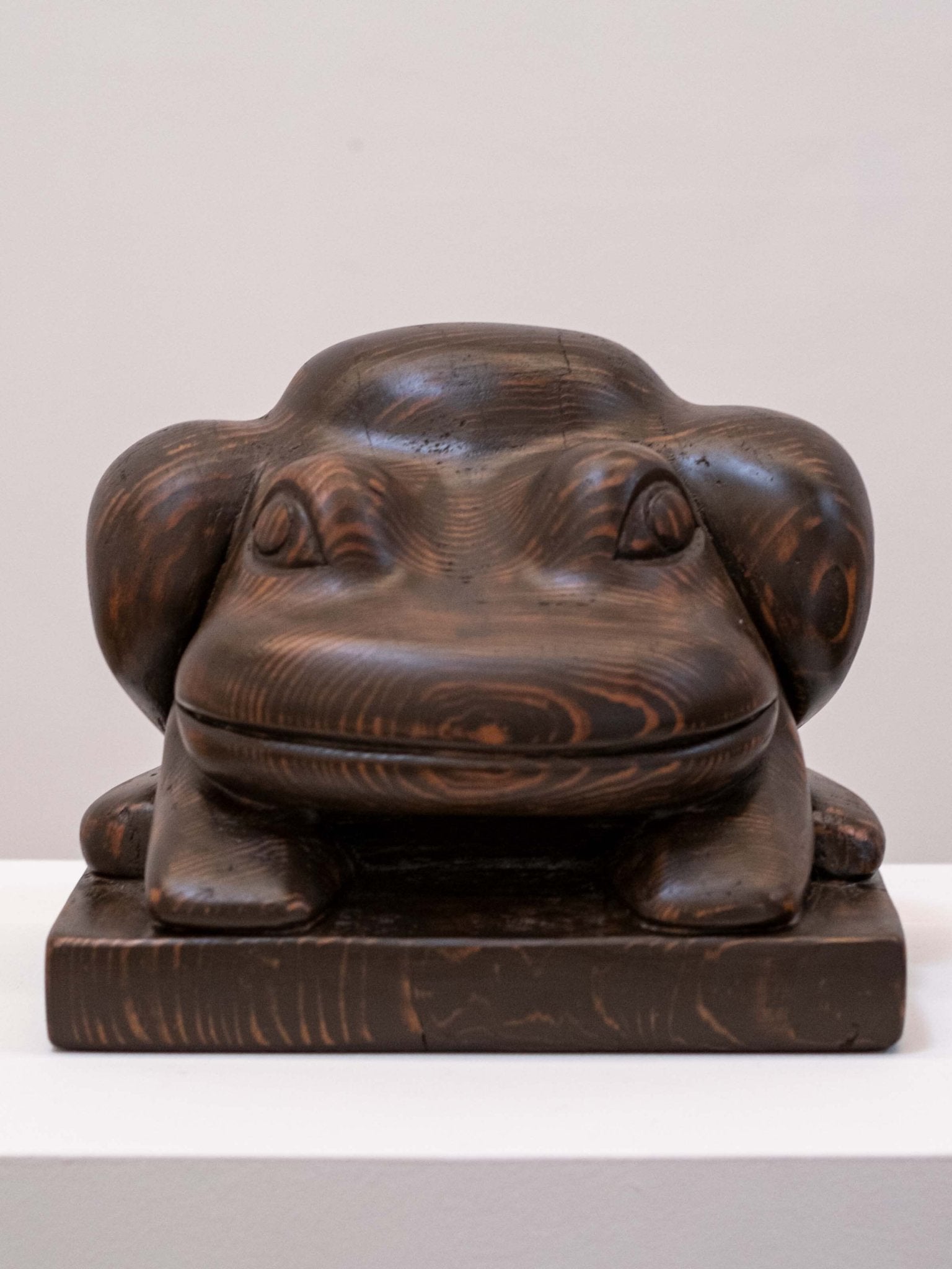 Frog - David Wien - Mollusk Surf Shop