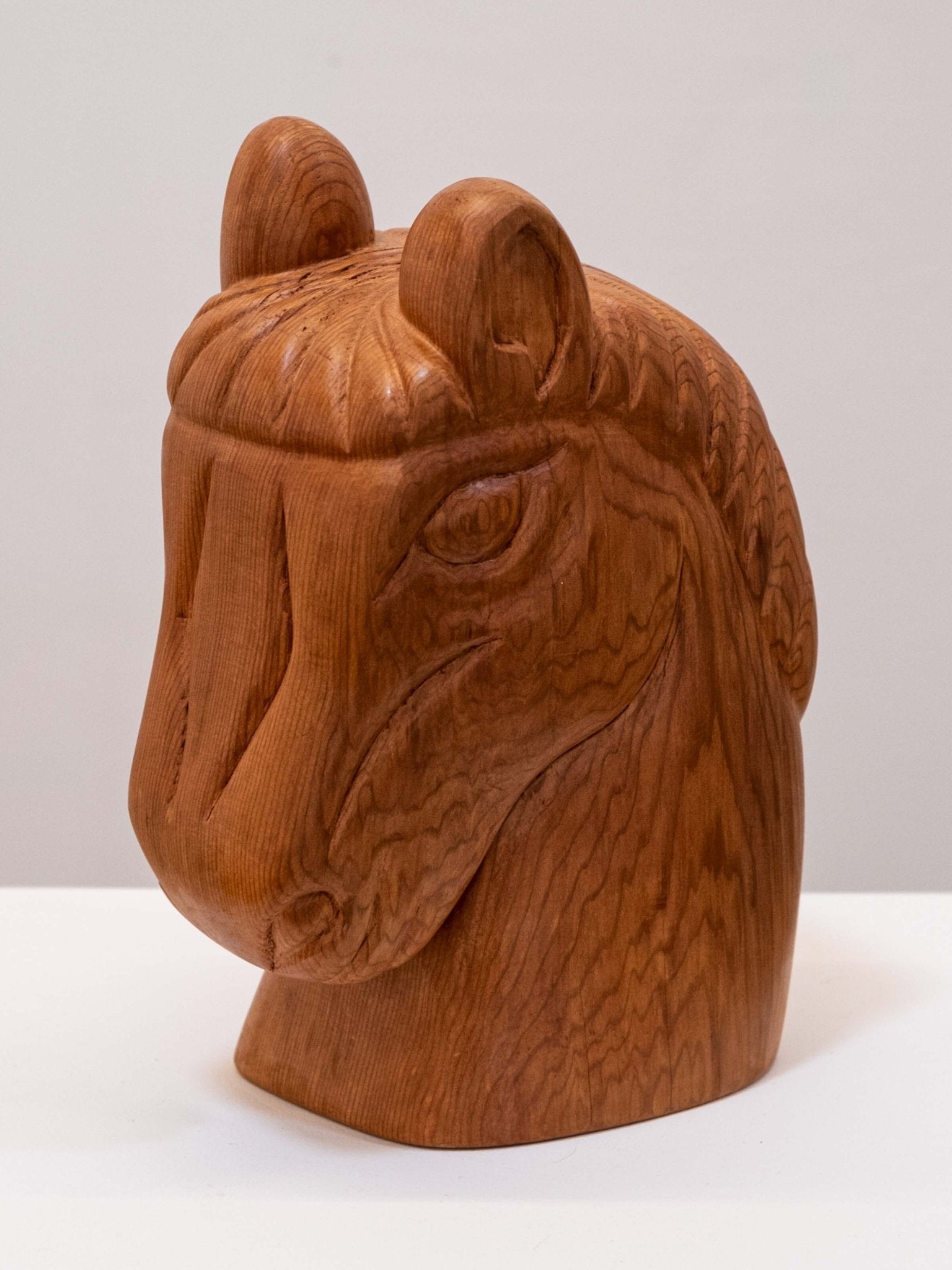 Horse Head - David Wien - Mollusk Surf Shop