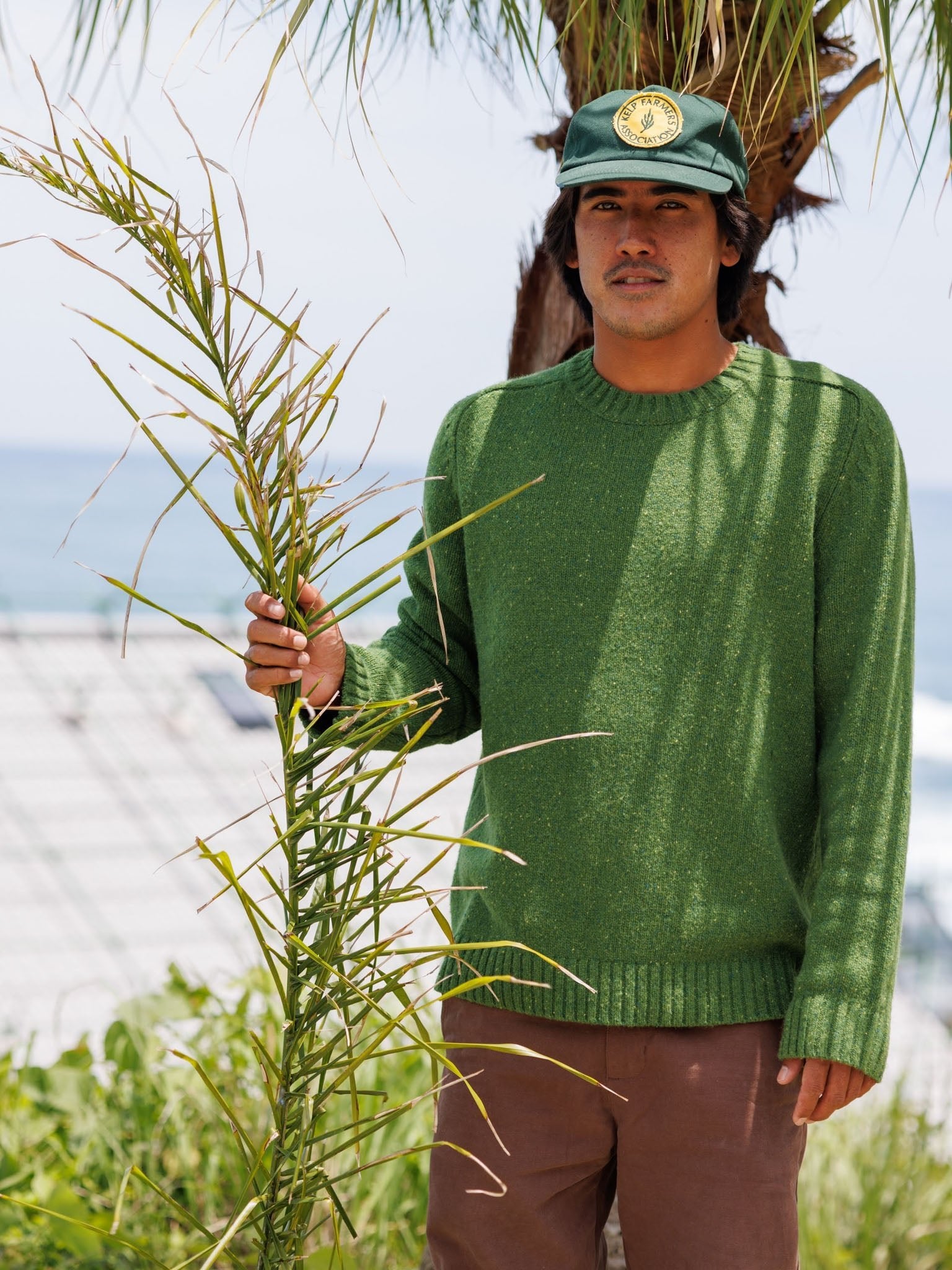 Kelp Farmers Patch Hat - OS - Mollusk Surf Shop