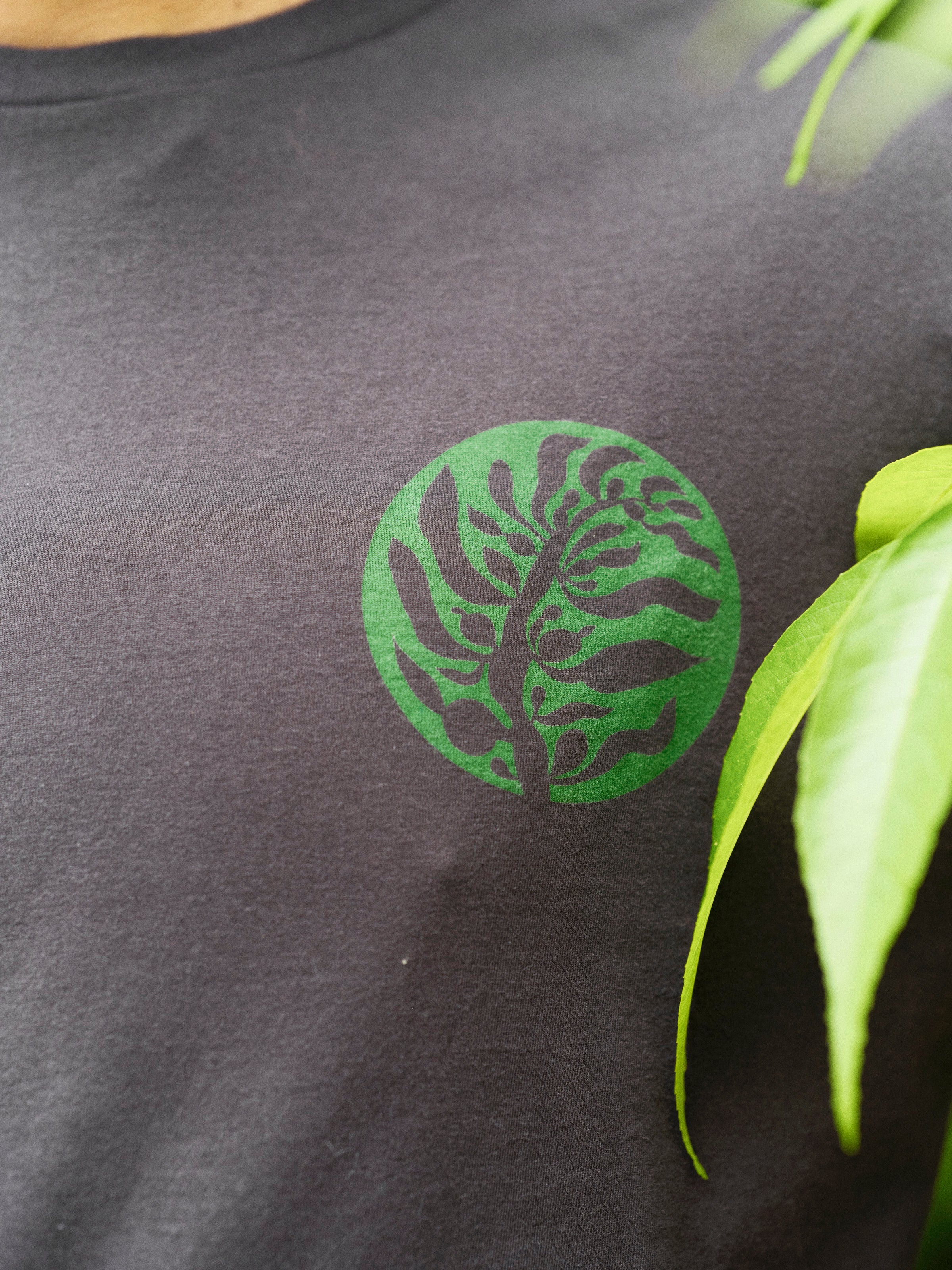 Kelp Long Sleeve - S - Mollusk Surf Shop