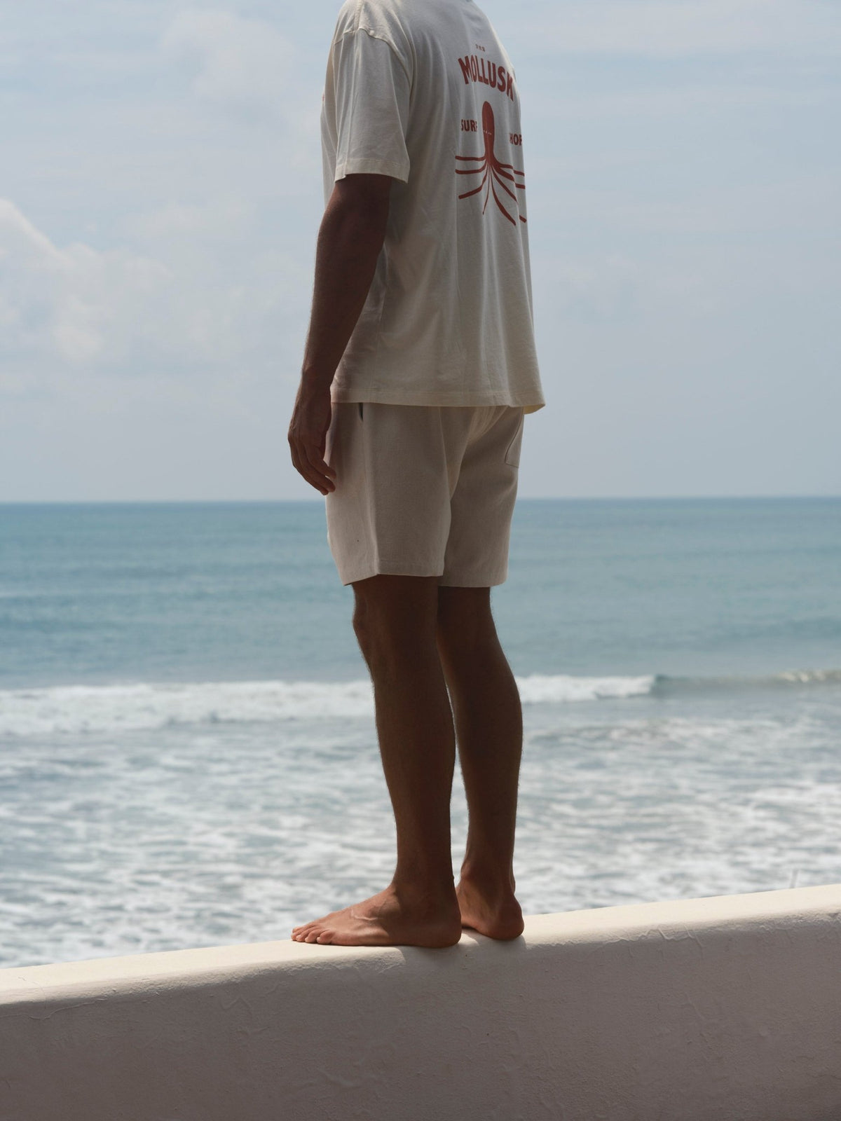 Lined Summer Shorts - S - Mollusk Surf Shop
