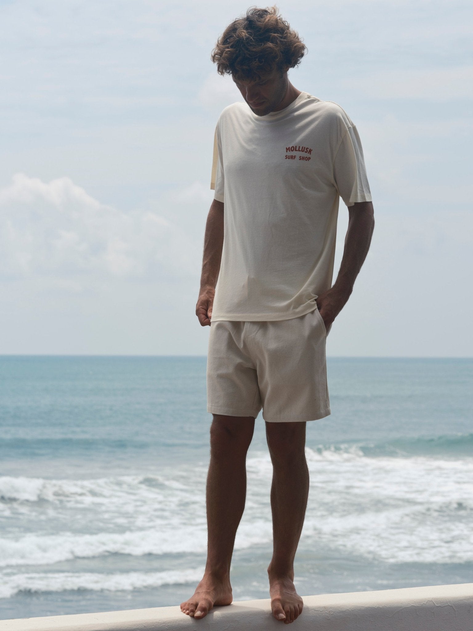 Lined Summer Shorts - S - Mollusk Surf Shop