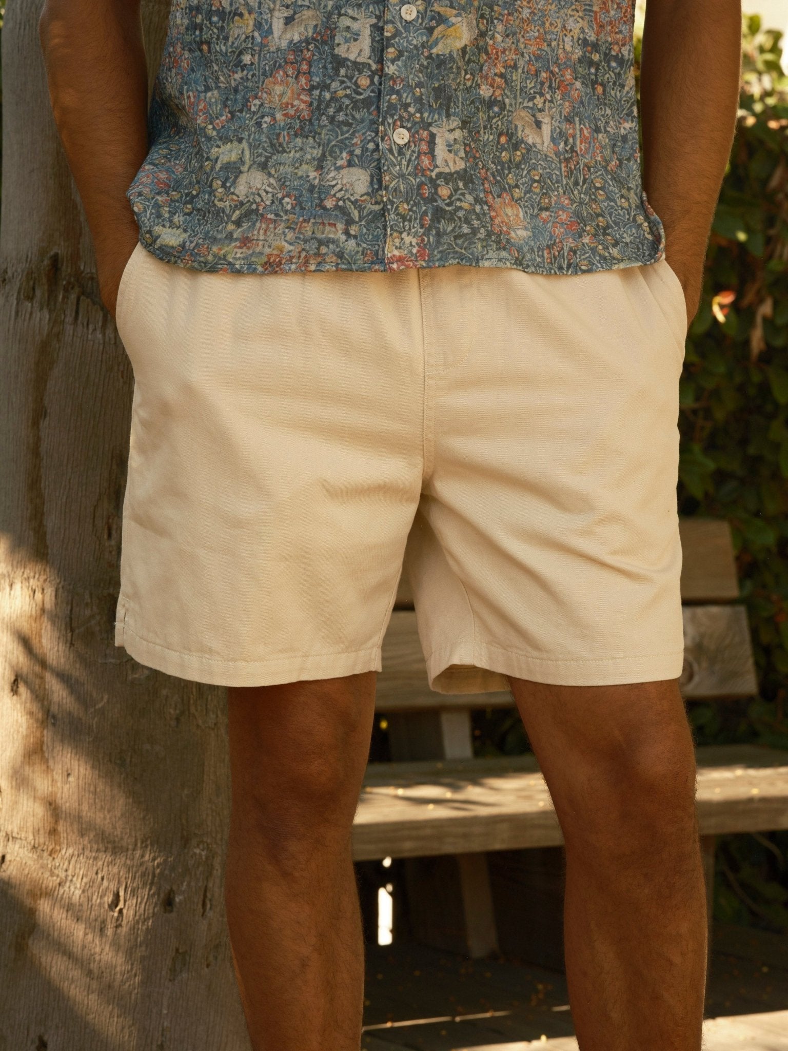 Lined Summer Shorts - S - Mollusk Surf Shop - description