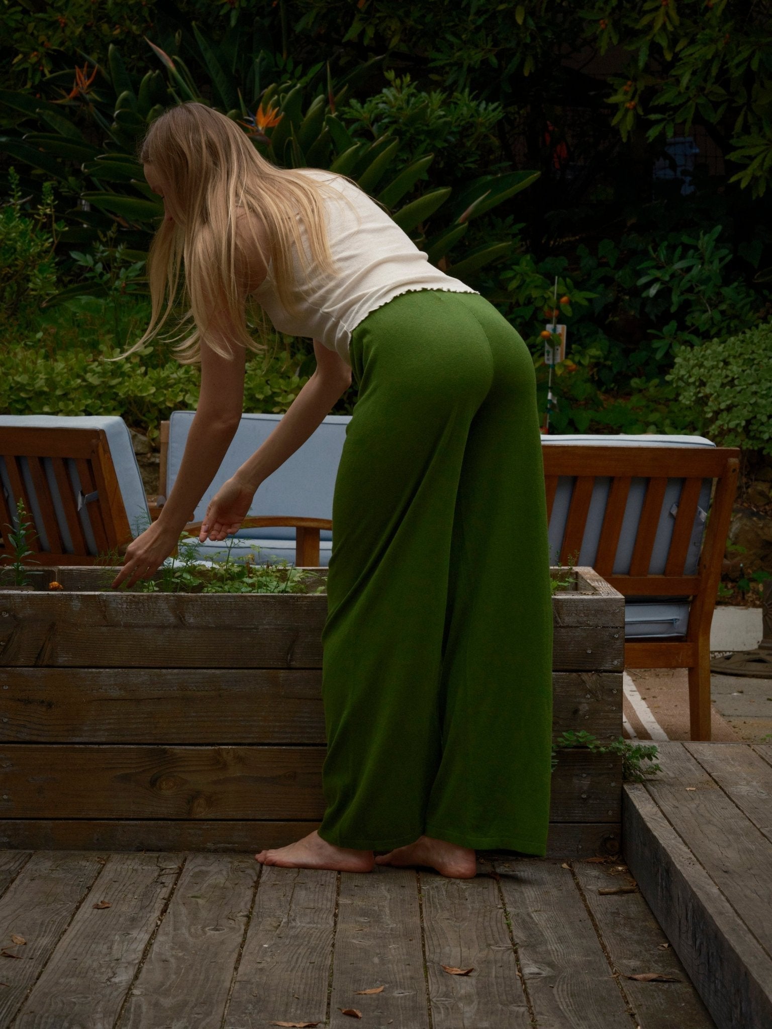 Loosey Pants - Palm Green - Mollusk Surf Shop