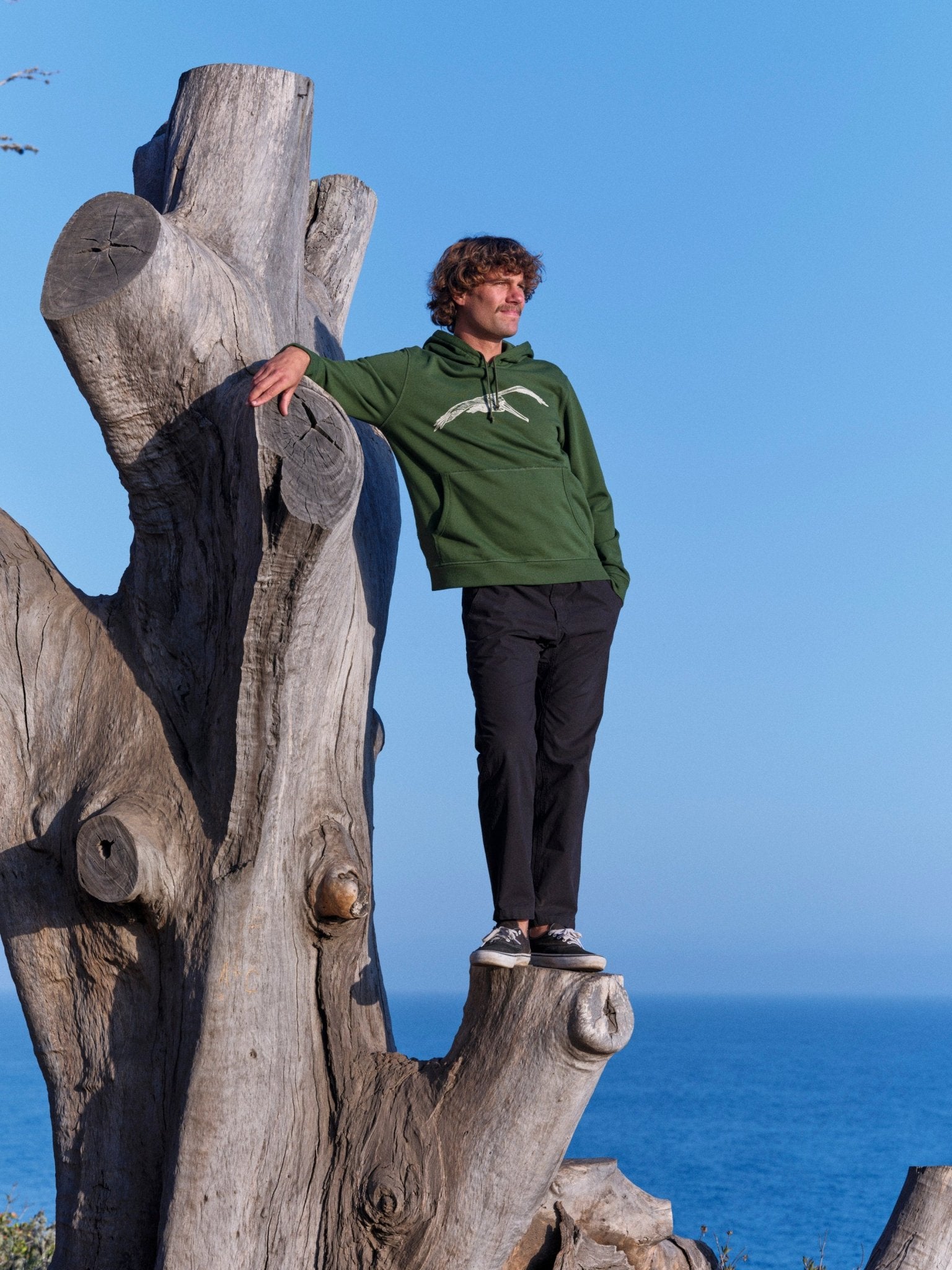 Max Pelican Pullover - S - Mollusk Surf Shop - description