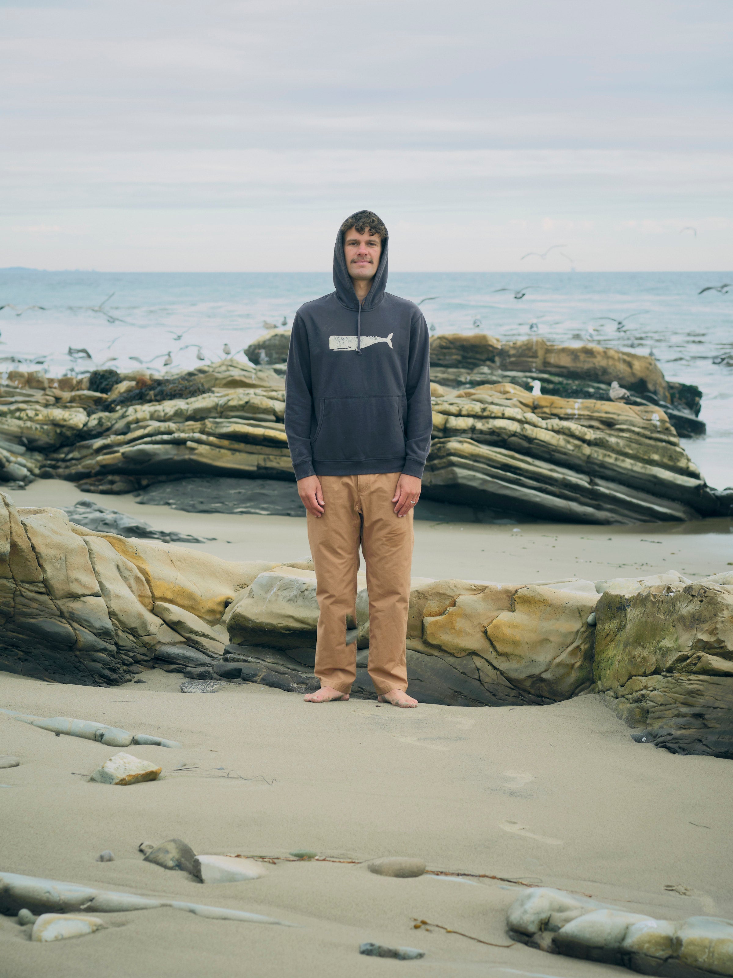 Max Whale Pullover - S - Mollusk Surf Shop