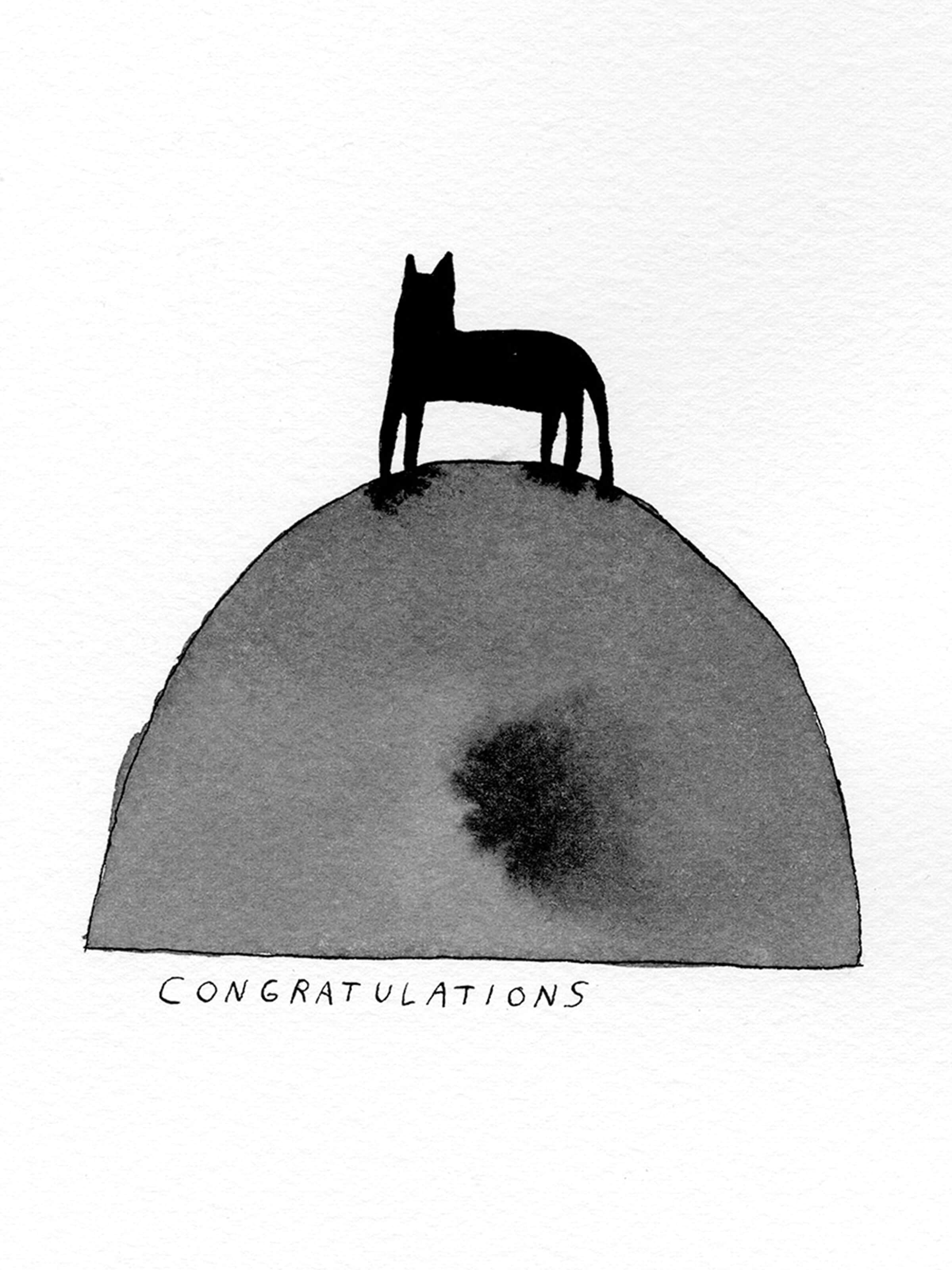 Nathaniel Russell - Congratulations - Mollusk Surf Shop