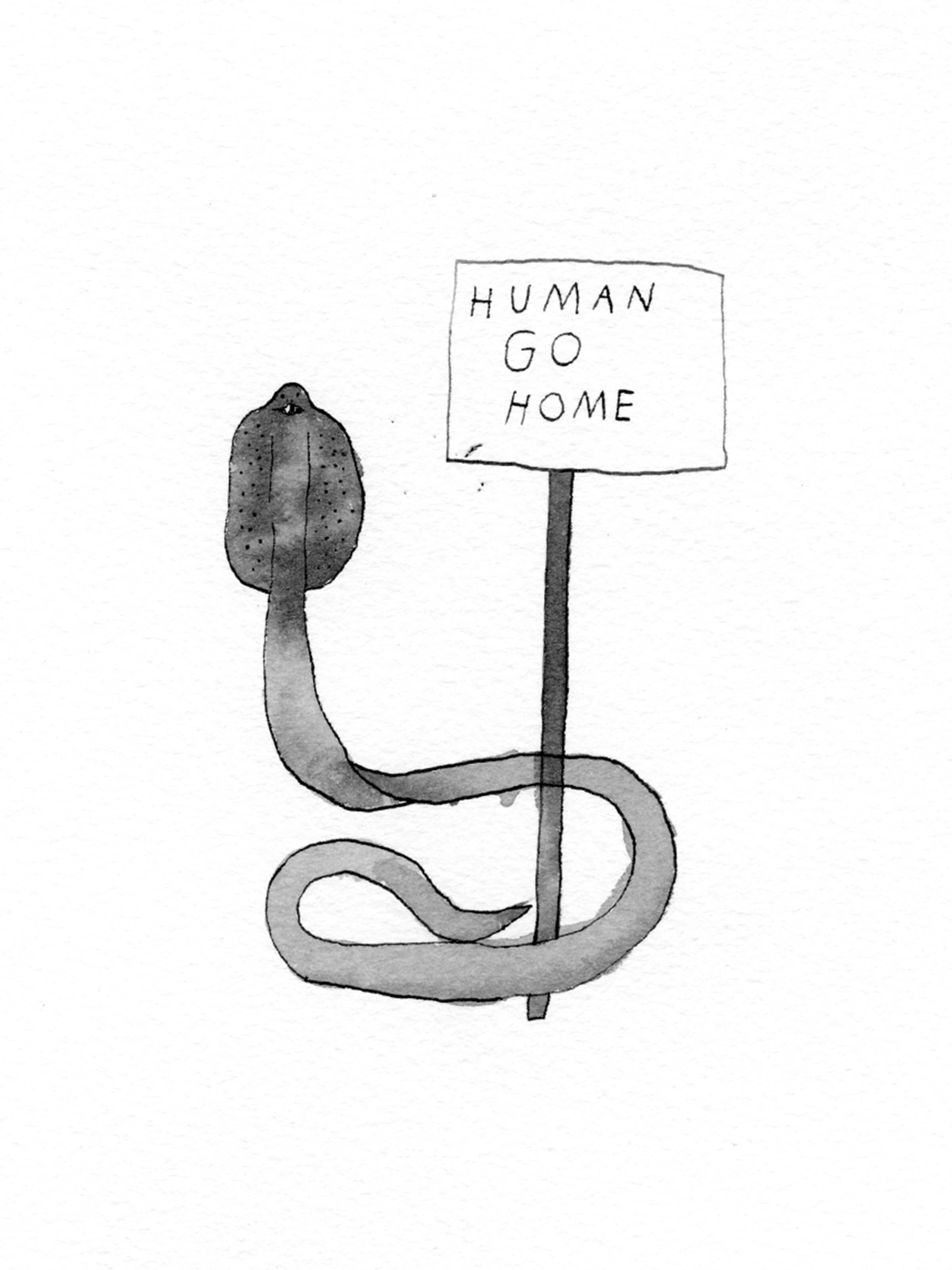 Nathaniel Russell - Human Go Home - Mollusk Surf Shop