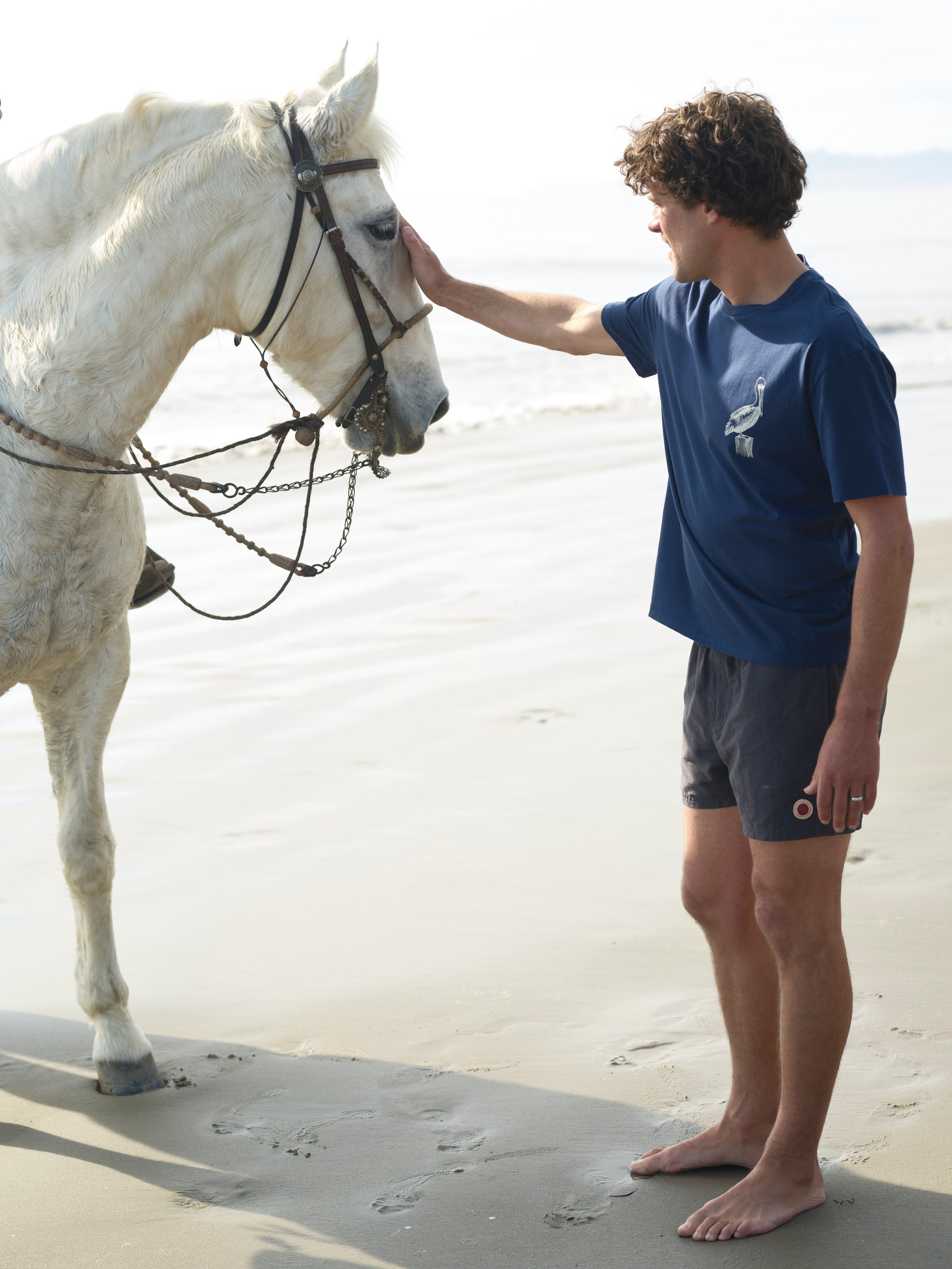 New Pelican Tee - S - Mollusk Surf Shop
