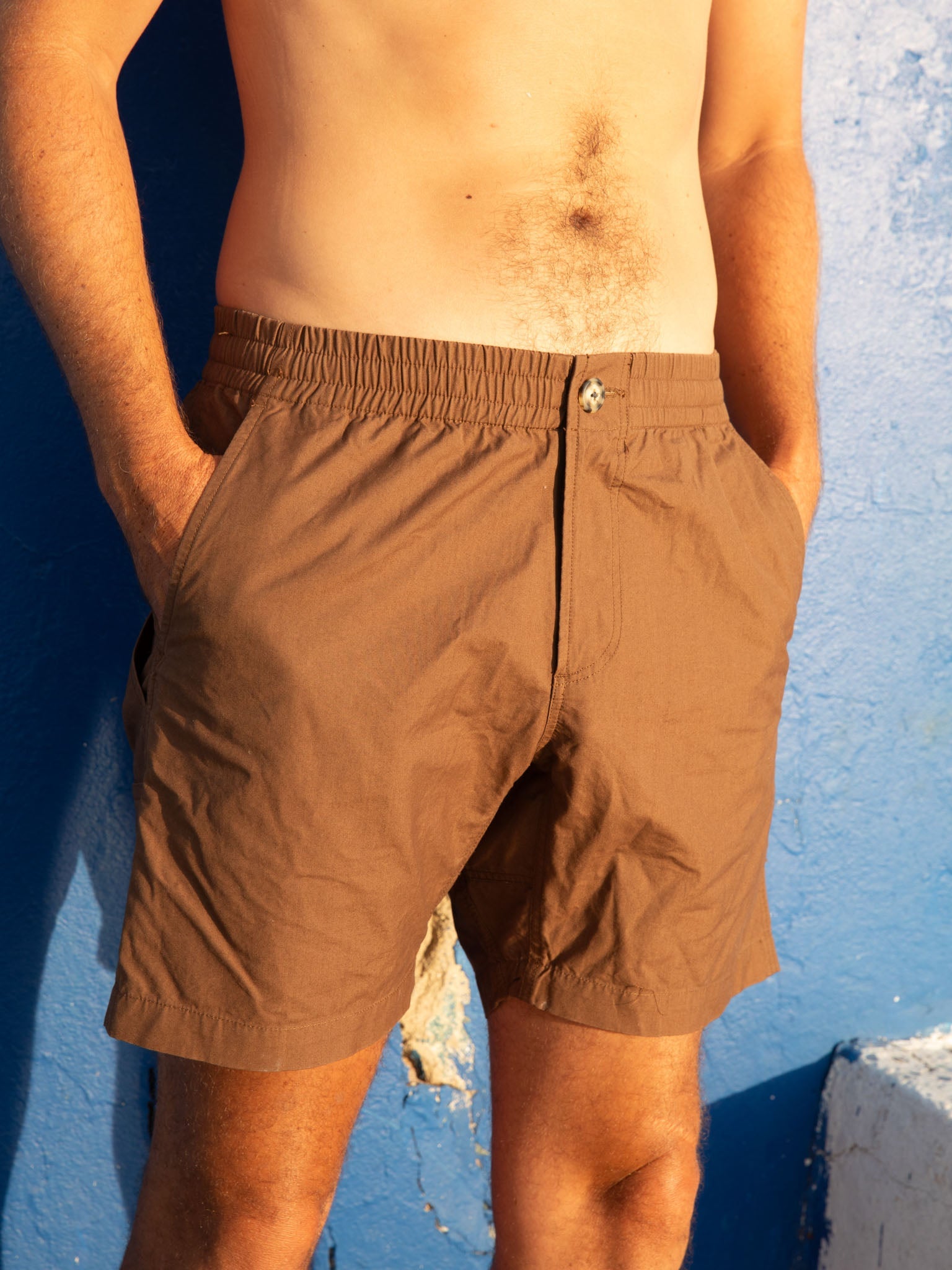 Pinnacle Shorts - S - Mollusk Surf Shop