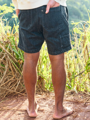 Pinnacle Shorts - S - Mollusk Surf Shop