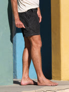Pinnacle Shorts - S - Mollusk Surf Shop - description