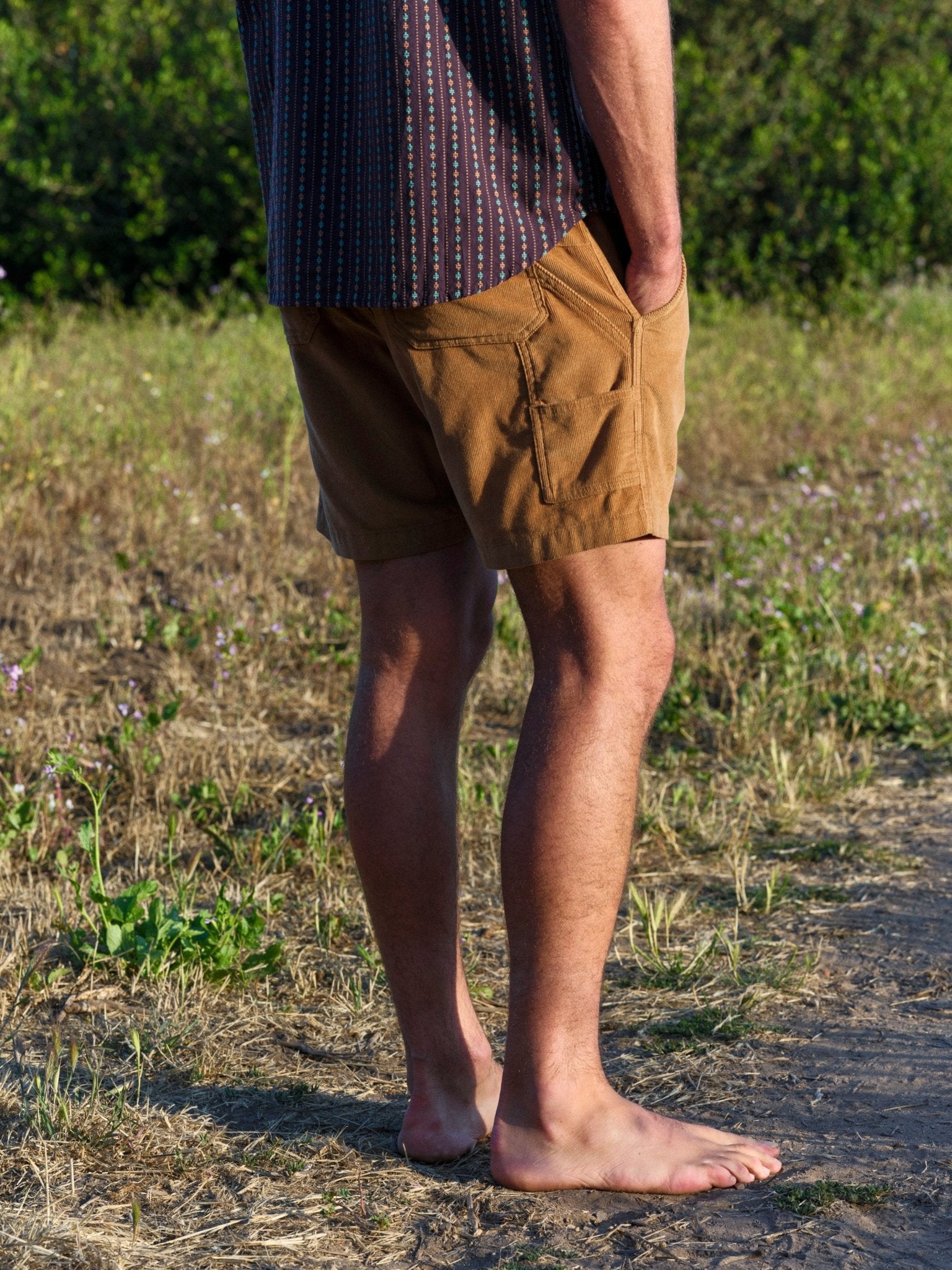 Pinnacle Shorts - S - Mollusk Surf Shop