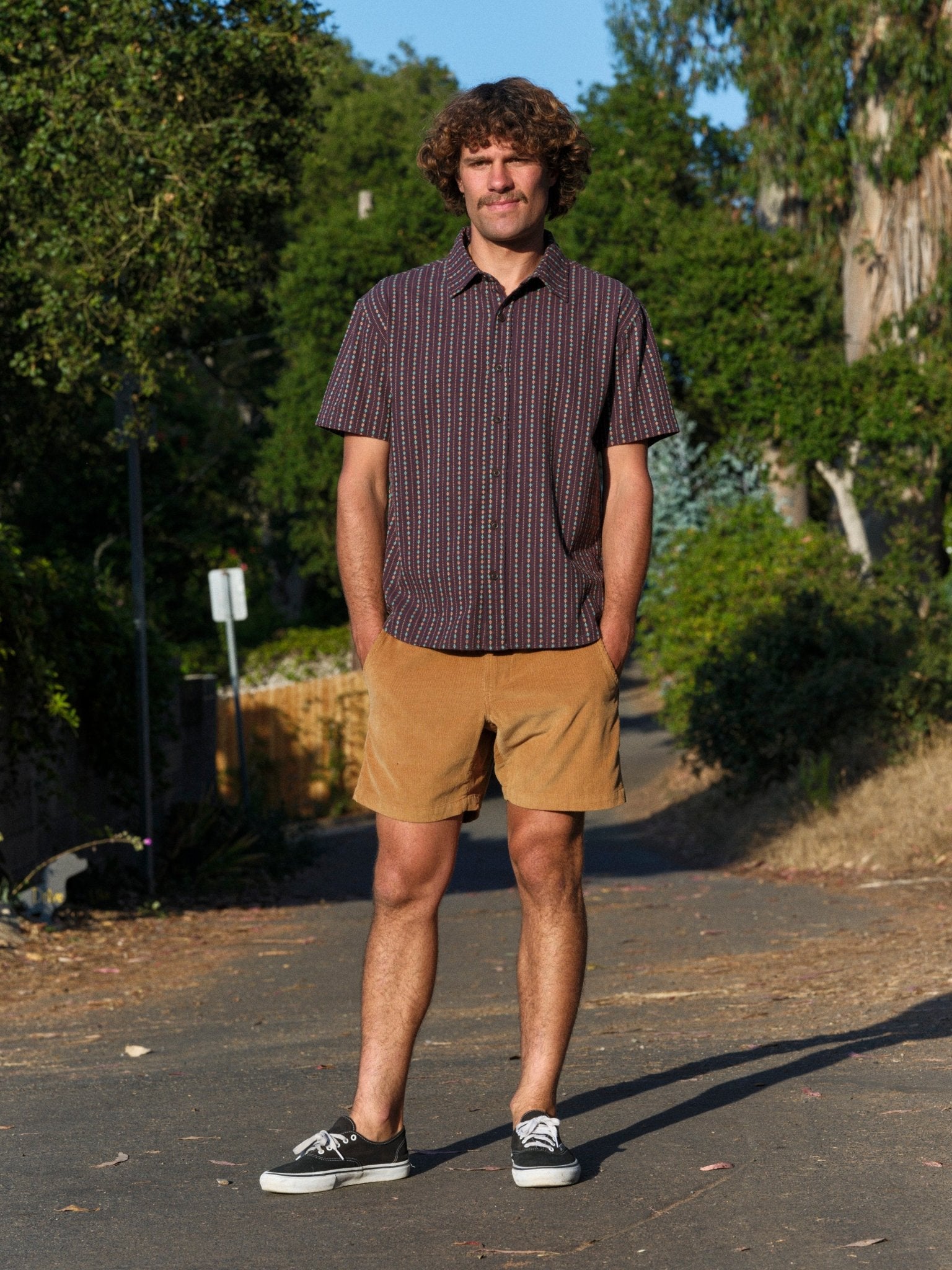 Pinnacle Shorts - S - Mollusk Surf Shop