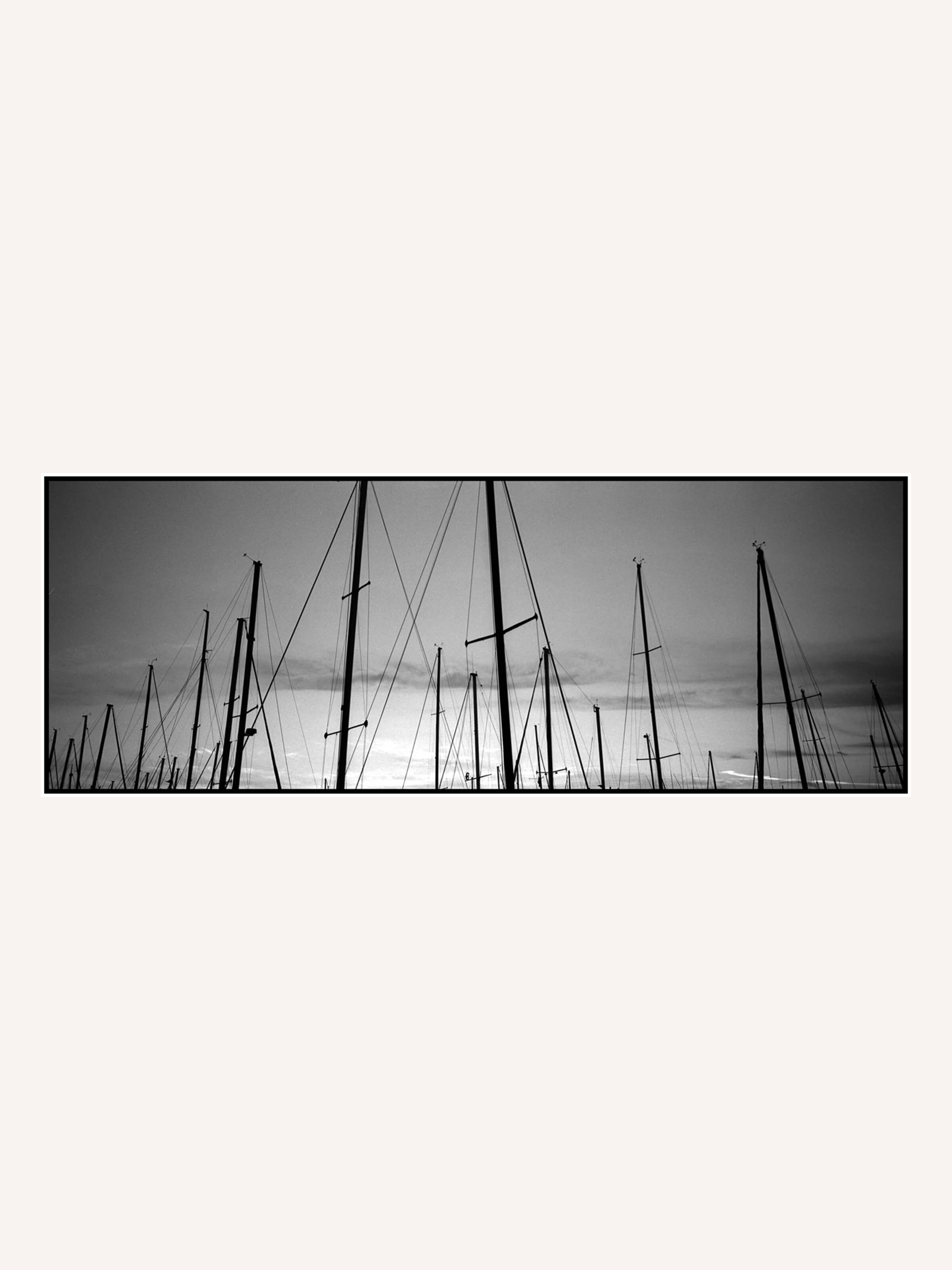Ray Barbee - Sails - Mollusk Surf Shop