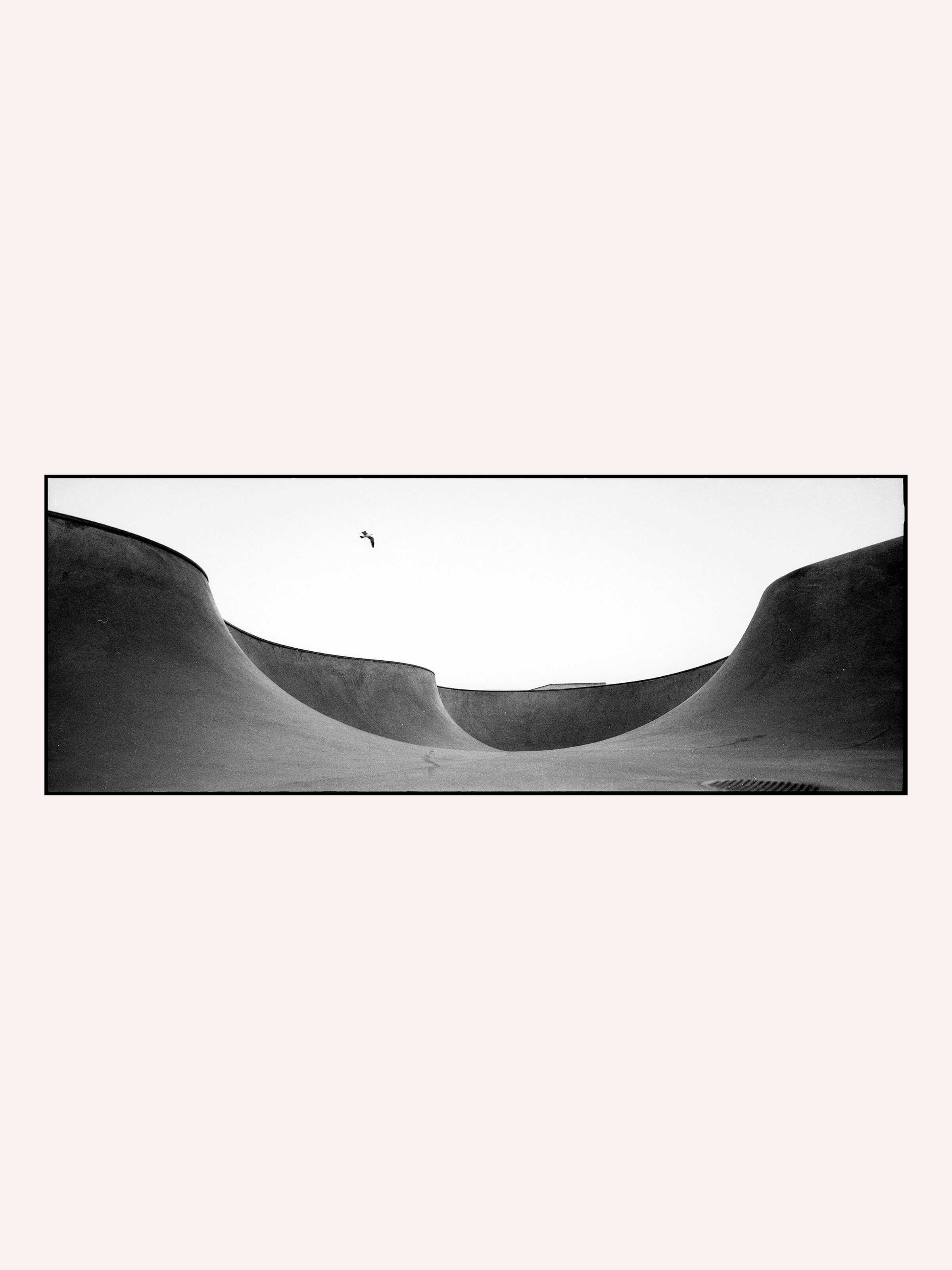 Ray Barbee - Venice - Mollusk Surf Shop