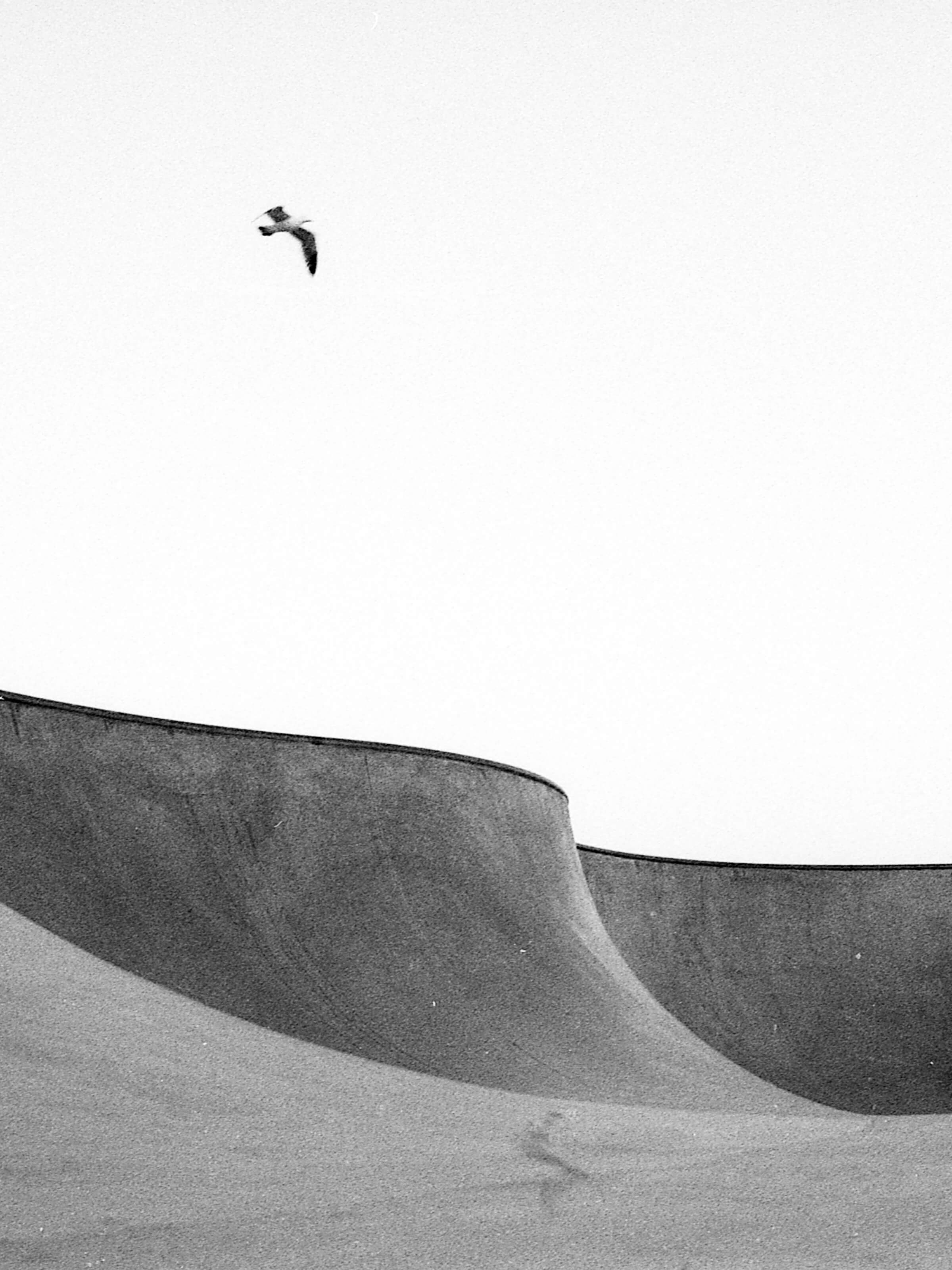Ray Barbee - Venice - Mollusk Surf Shop