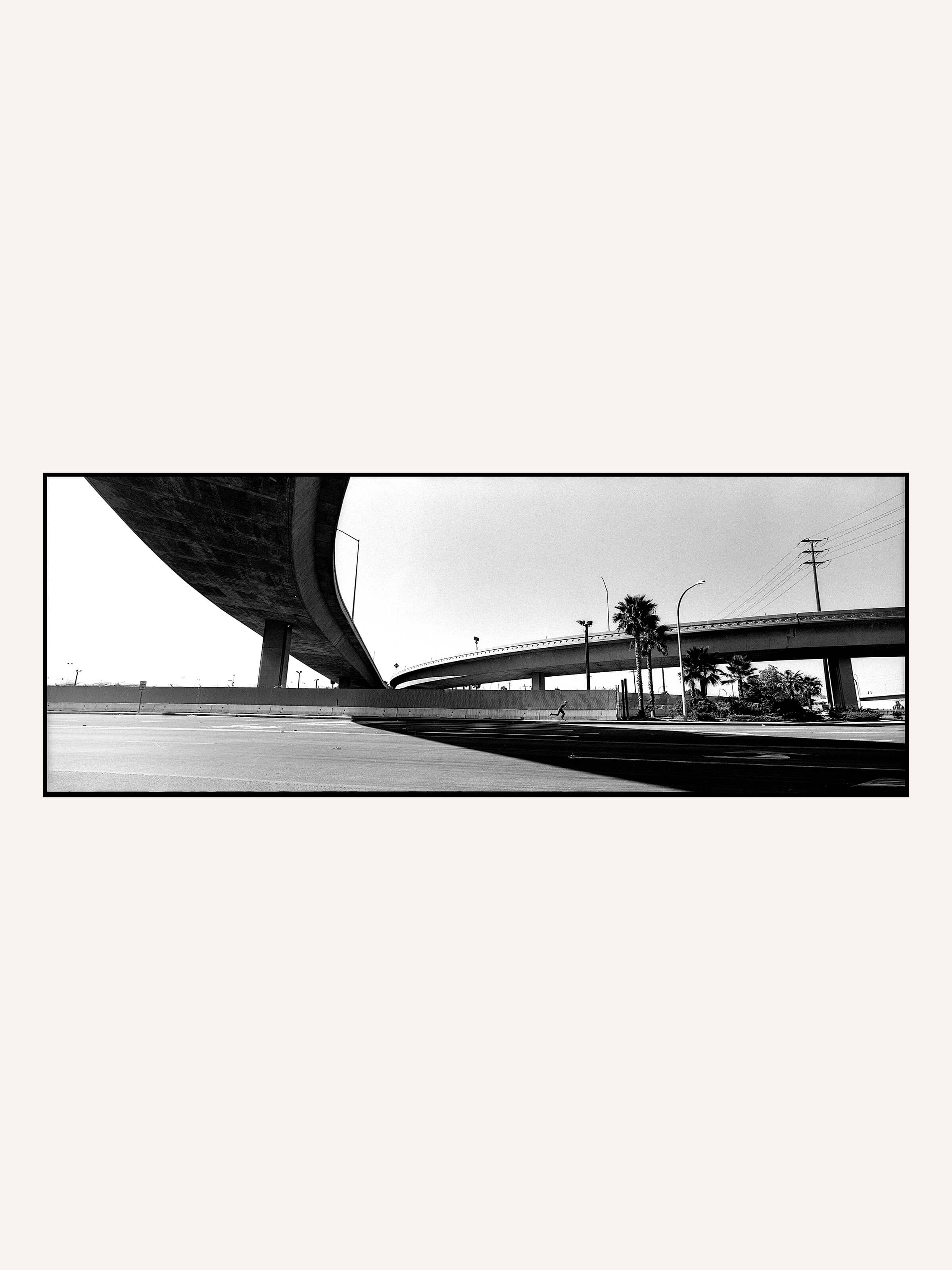 Ray Barbee - Wilmington - Mollusk Surf Shop