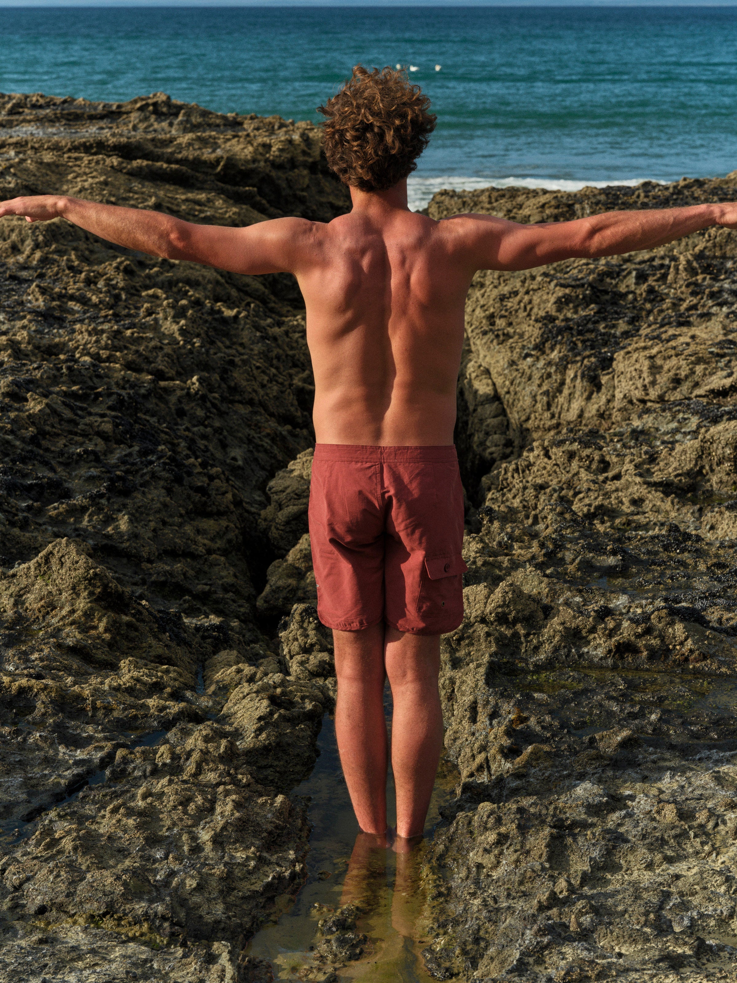 Scallop Trunks - 30 - Mollusk Surf Shop