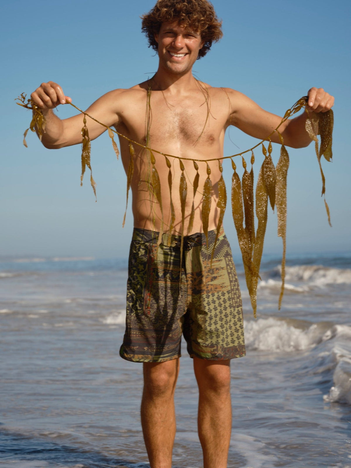 Scallop Trunks - 30 - Mollusk Surf Shop