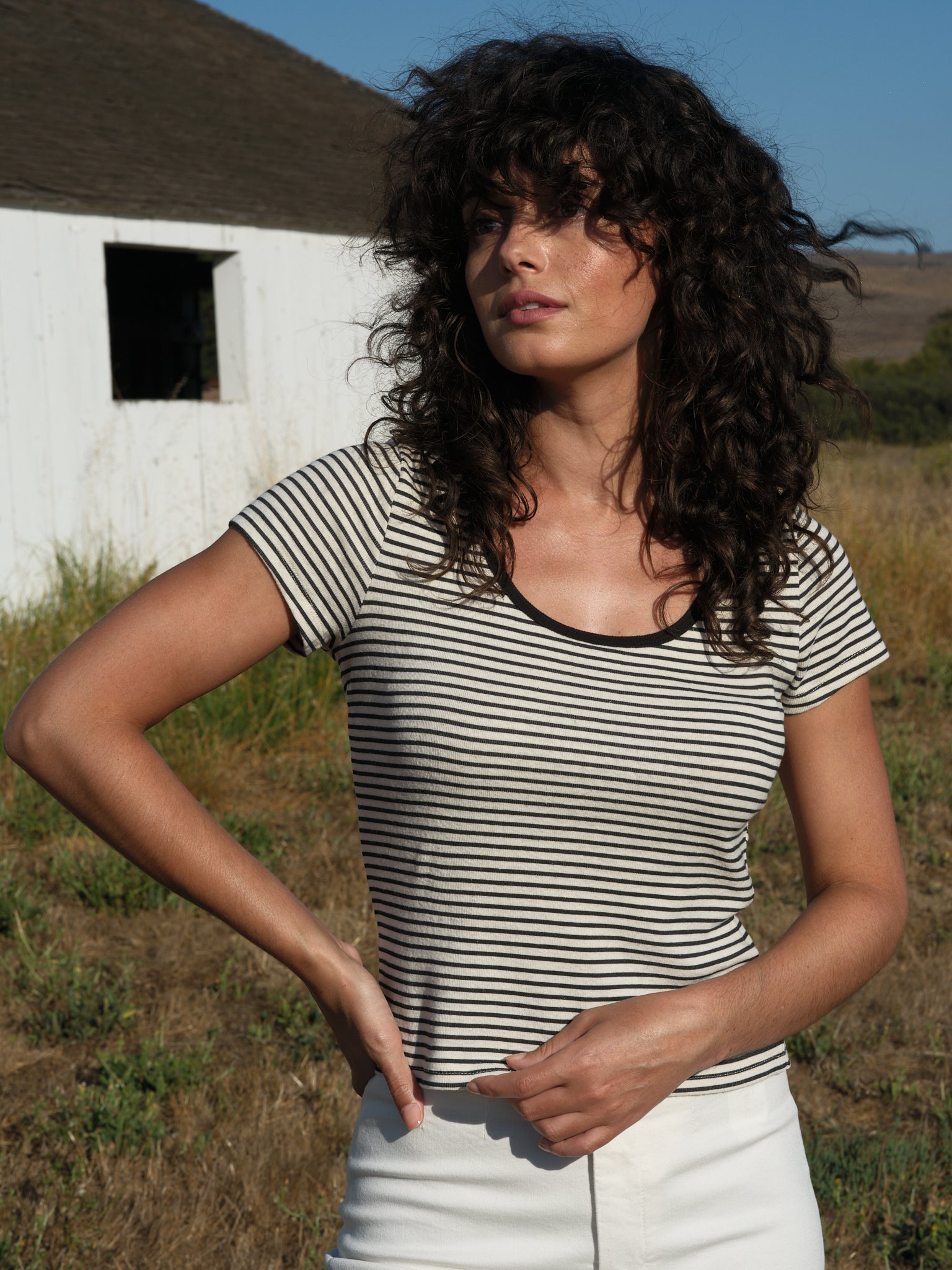 Scoop Ribsy Tee - XS - Mollusk Surf Shop - description