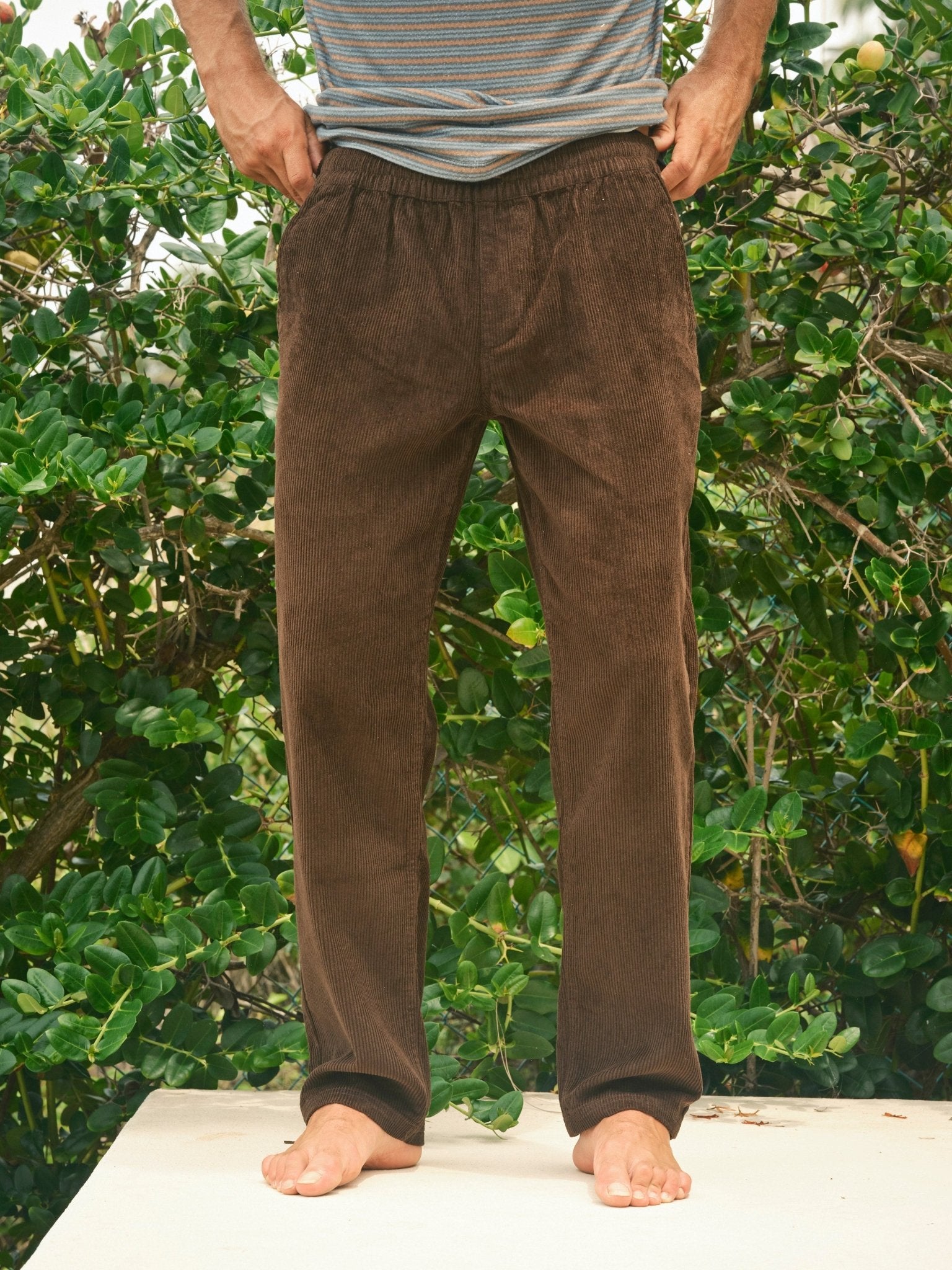 Shroom Pants - S - Mollusk Surf Shop