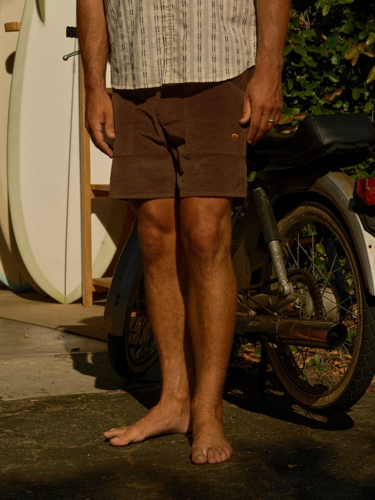 Shroom Shorts Mens - Navy - Mollusk Surf Shop