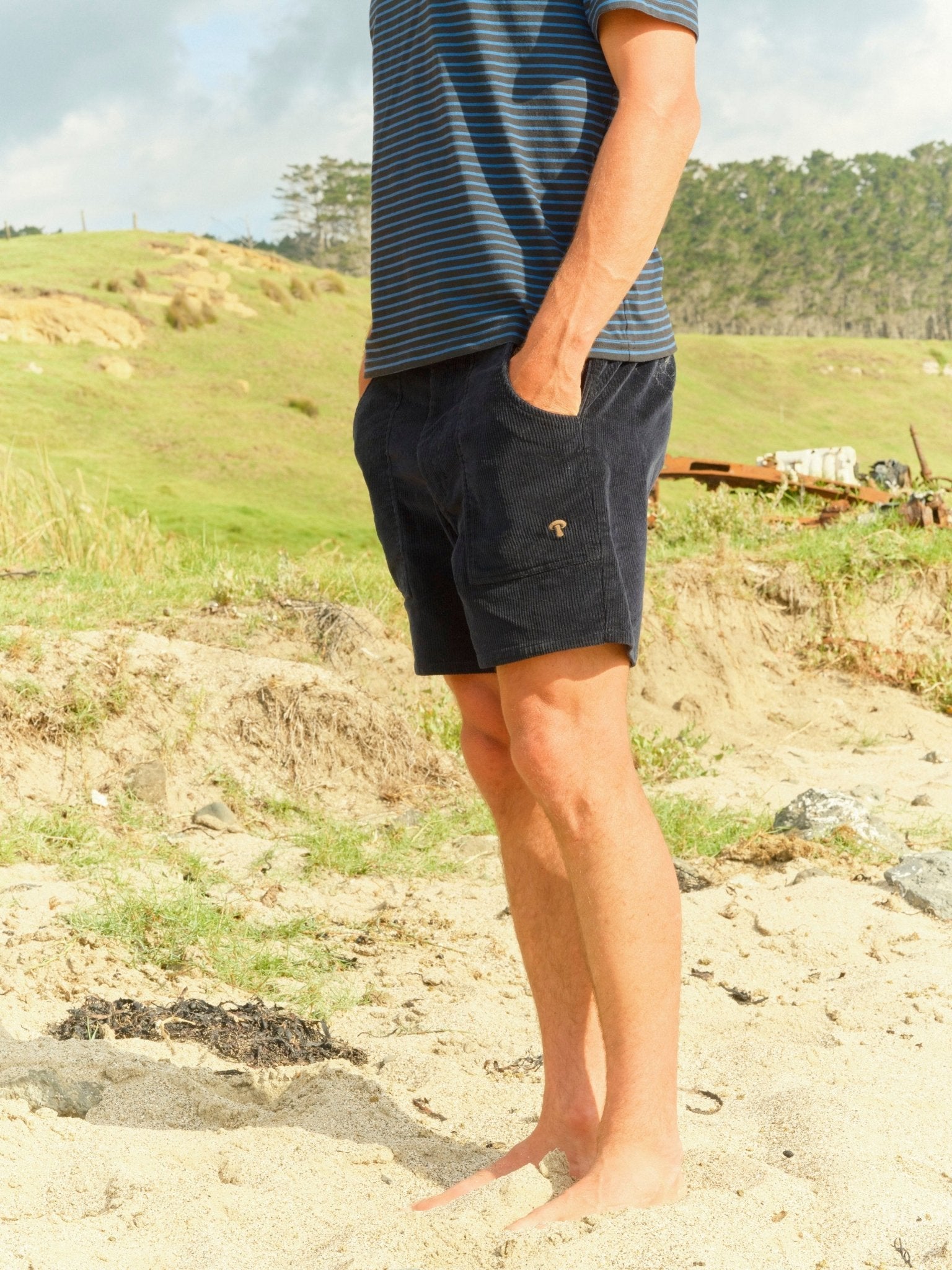 Shroom Shorts Mens - Navy - Mollusk Surf Shop