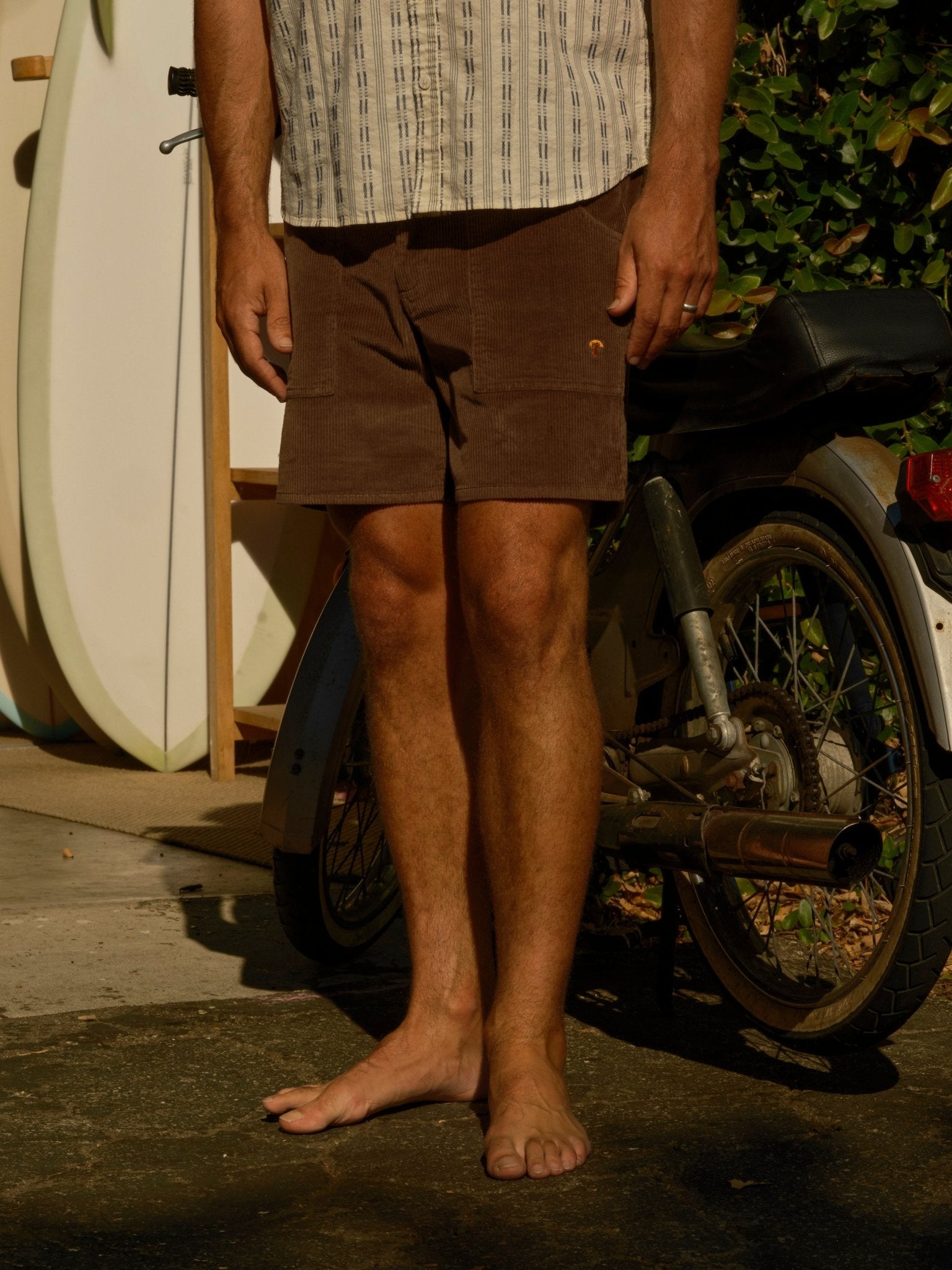 Shroom Shorts - S - Mollusk Surf Shop
