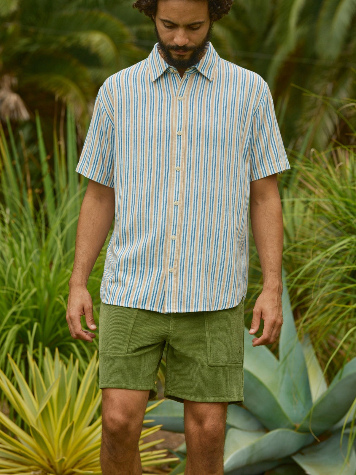 Shroom Shorts - S - Mollusk Surf Shop