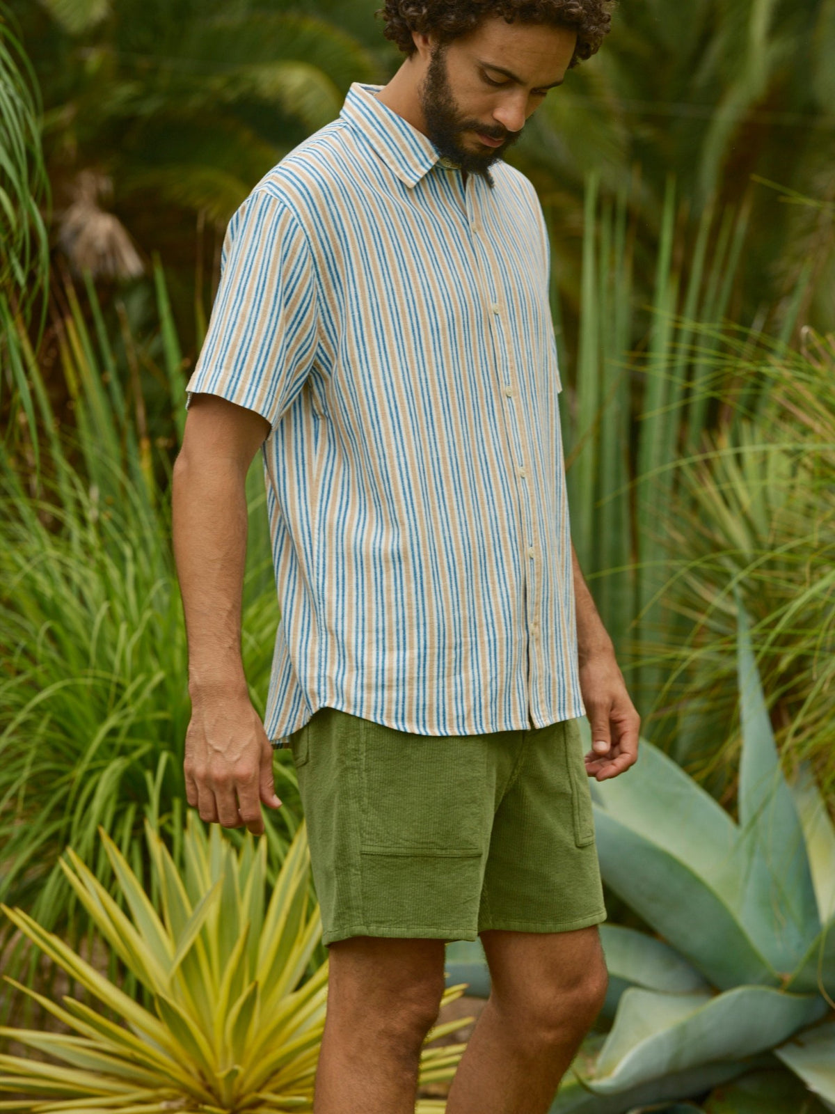 Shroom Shorts - S - Mollusk Surf Shop