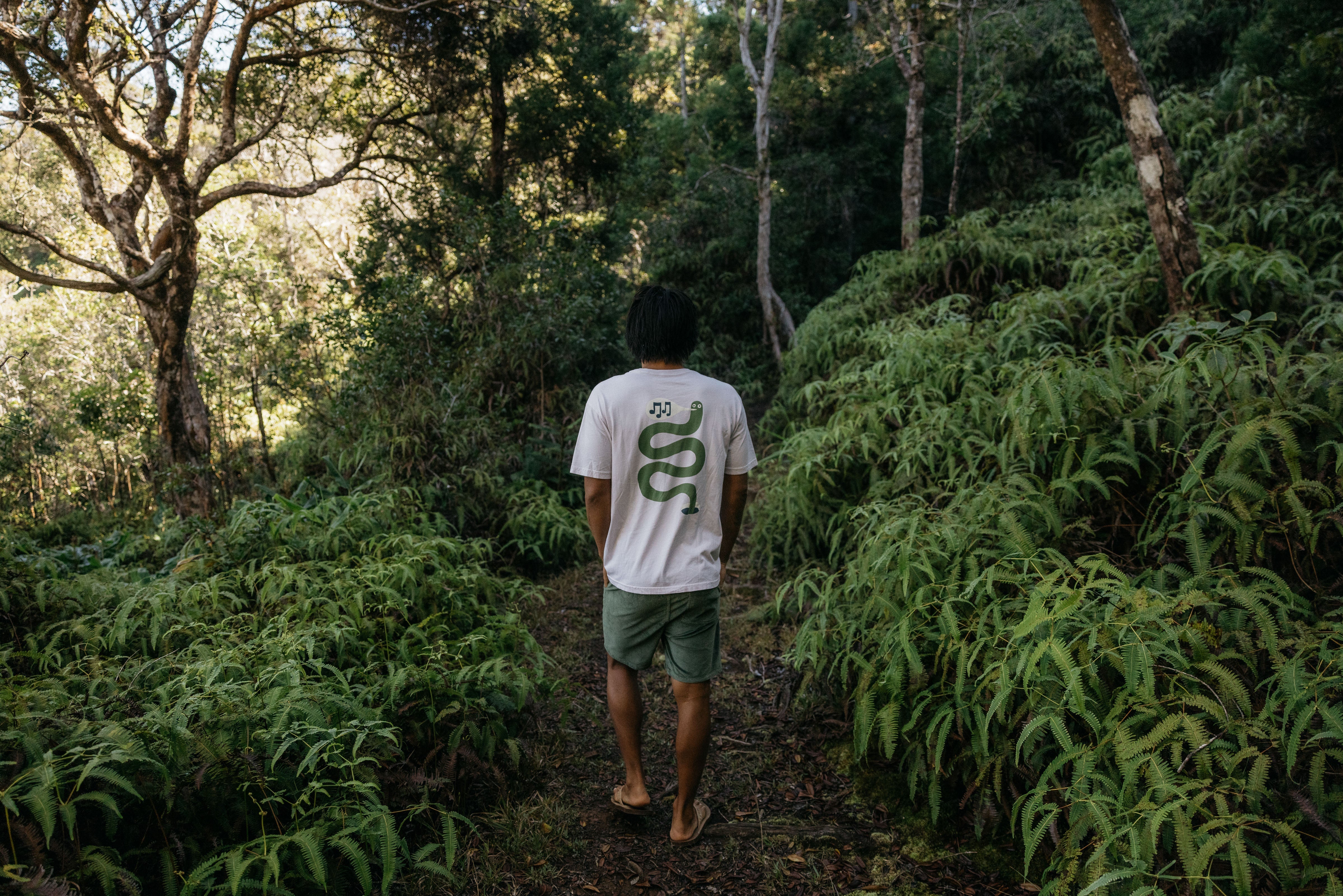 Shroom Shorts - S - Mollusk Surf Shop