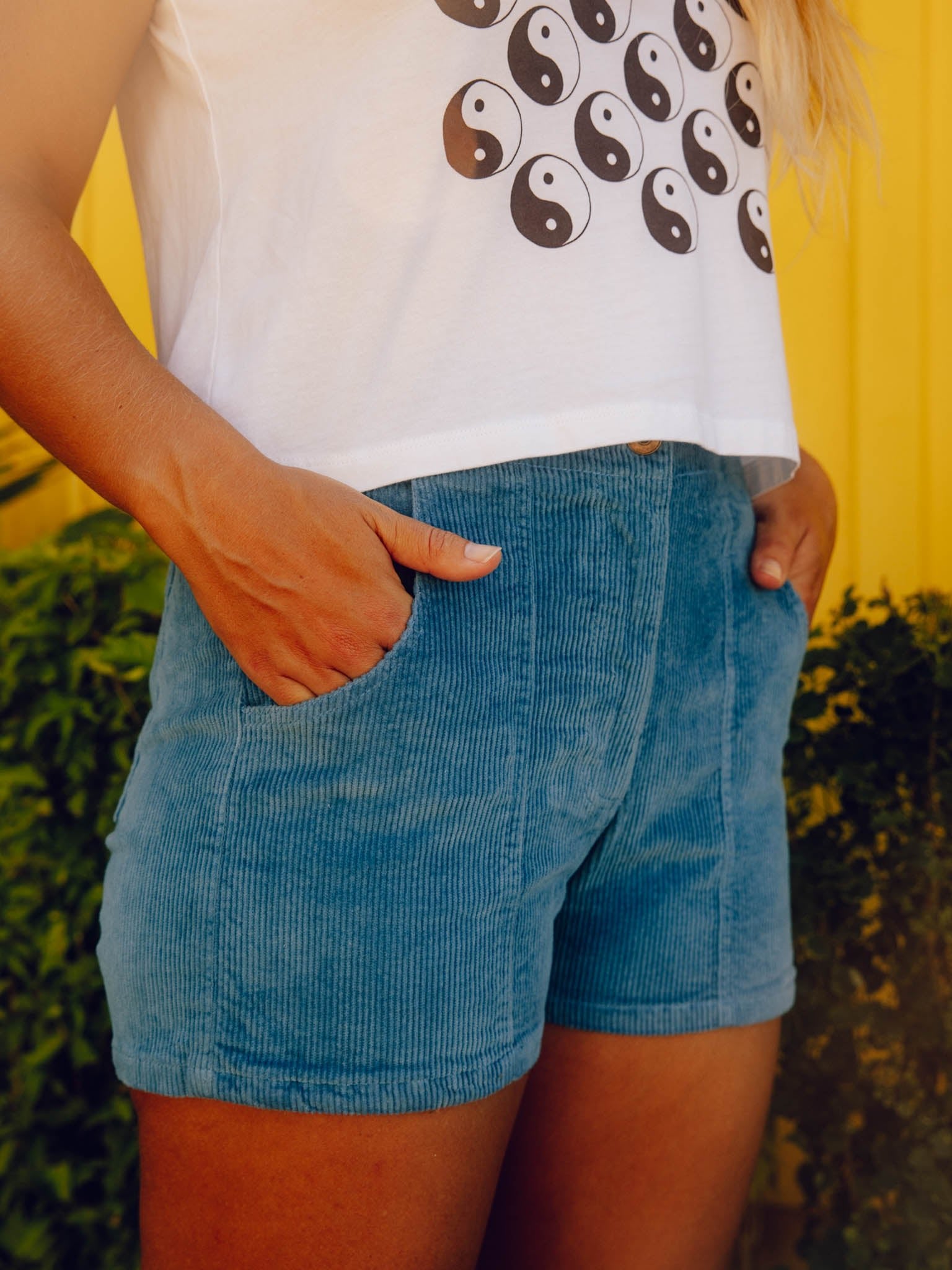 Shroom Shorts - XS - Mollusk Surf Shop