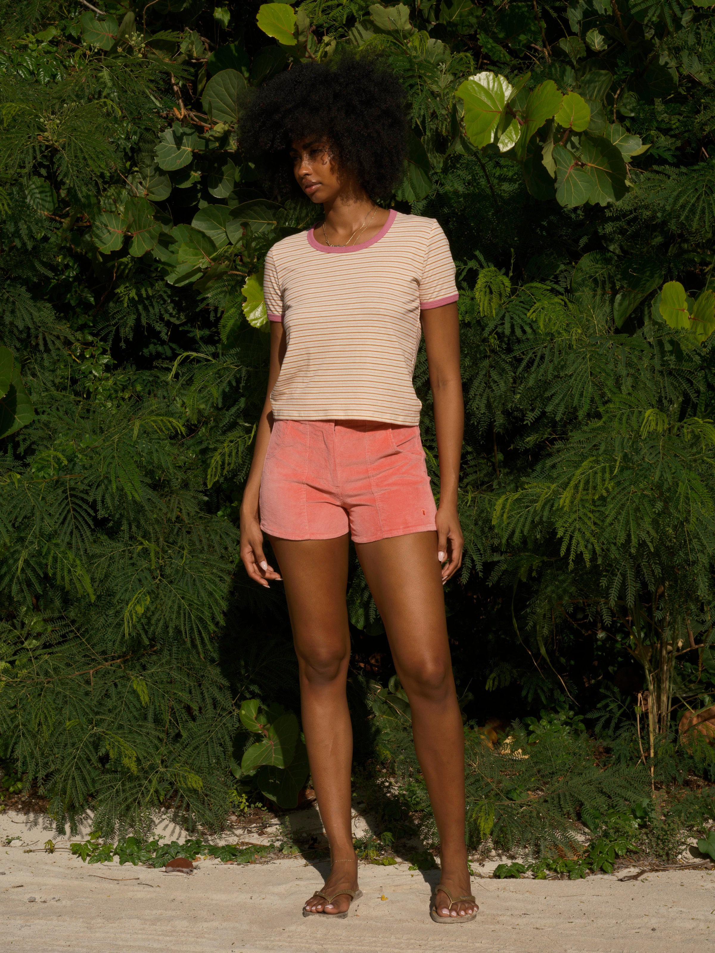 Shroom Shorts - XS - Mollusk Surf Shop - description