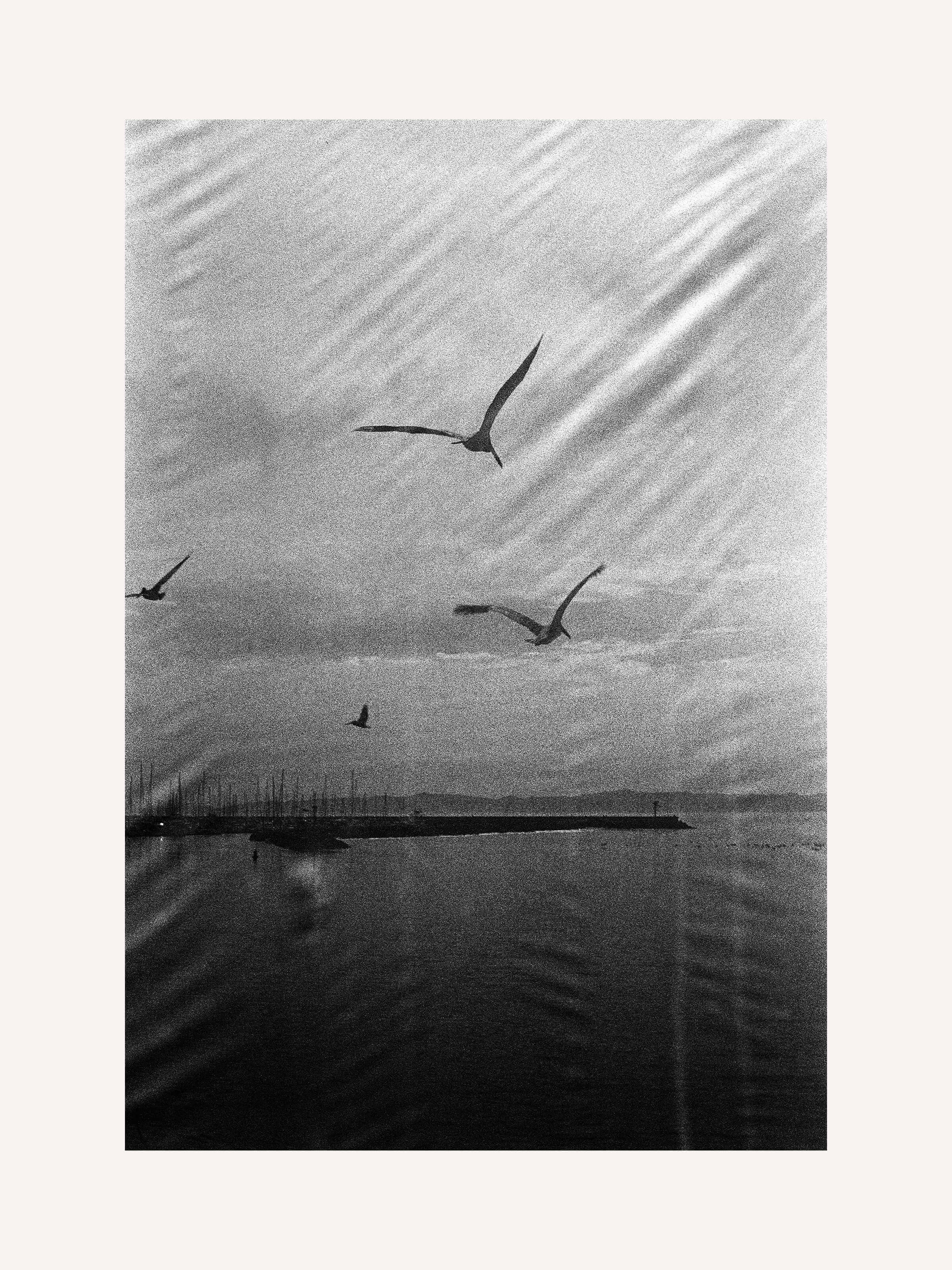 Stephen Vanasco - Untitled - 004 - Mollusk Surf Shop