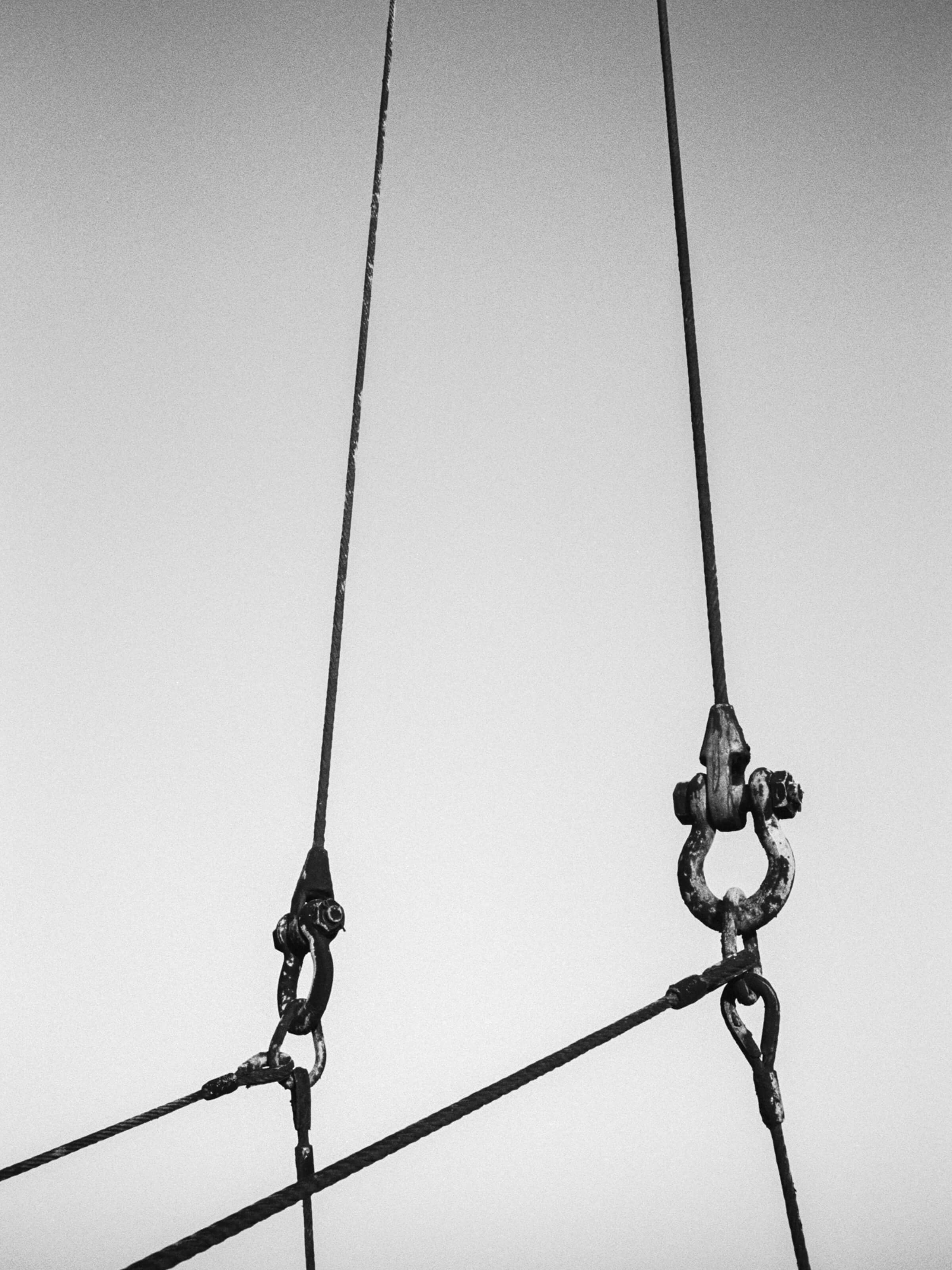 Stephen Vanasco - Untitled - 007 - Mollusk Surf Shop